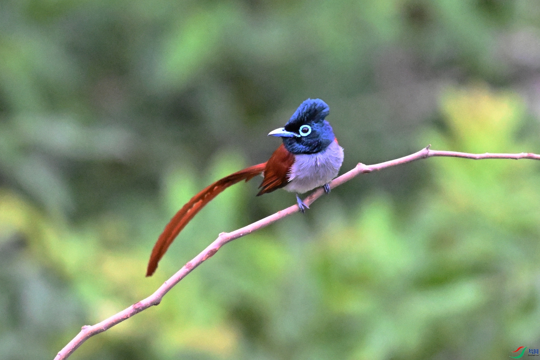 DSC_6294.JPG