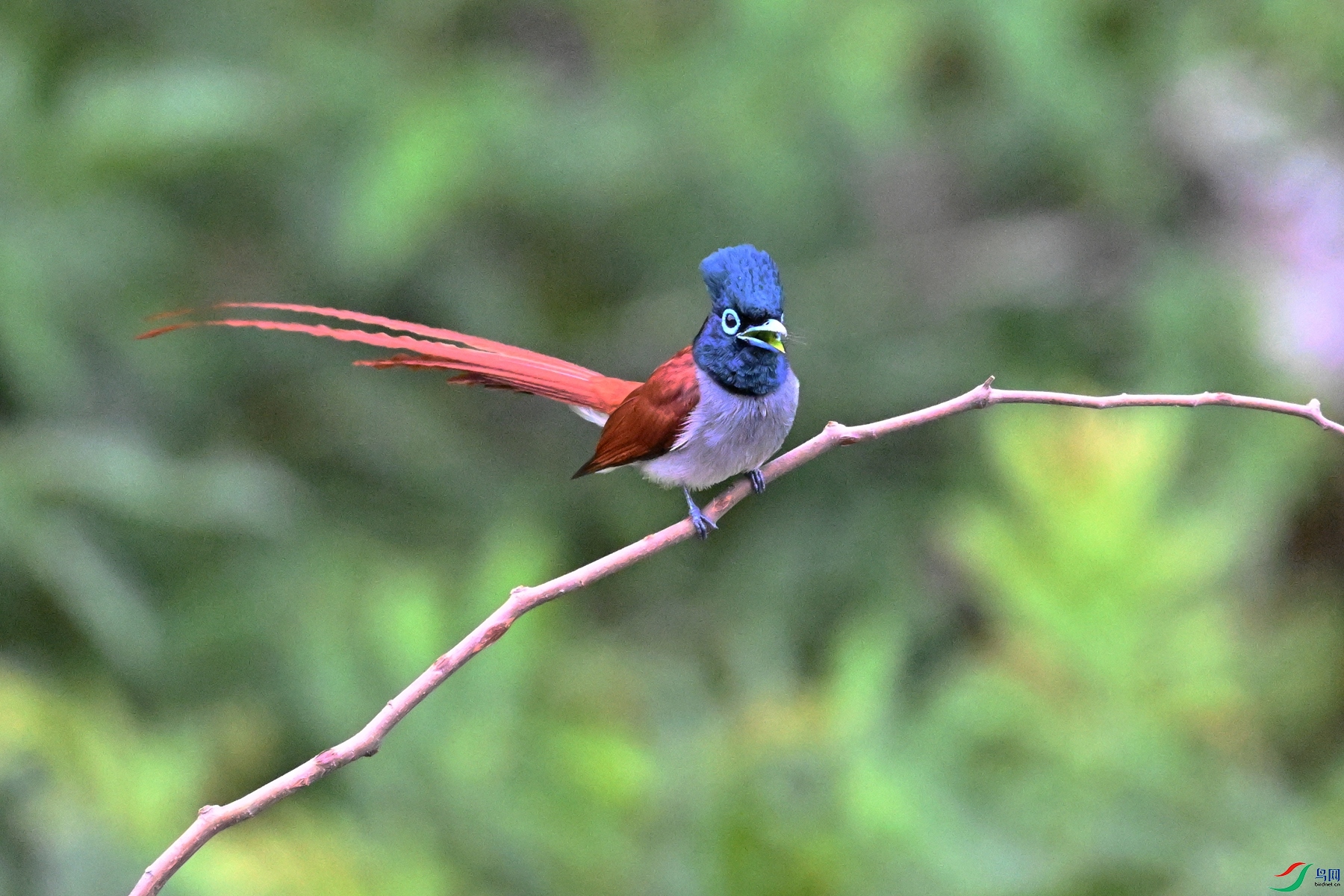 DSC_6282.JPG