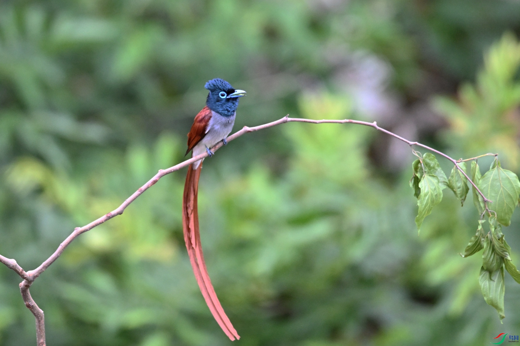 DSC_6302.JPG
