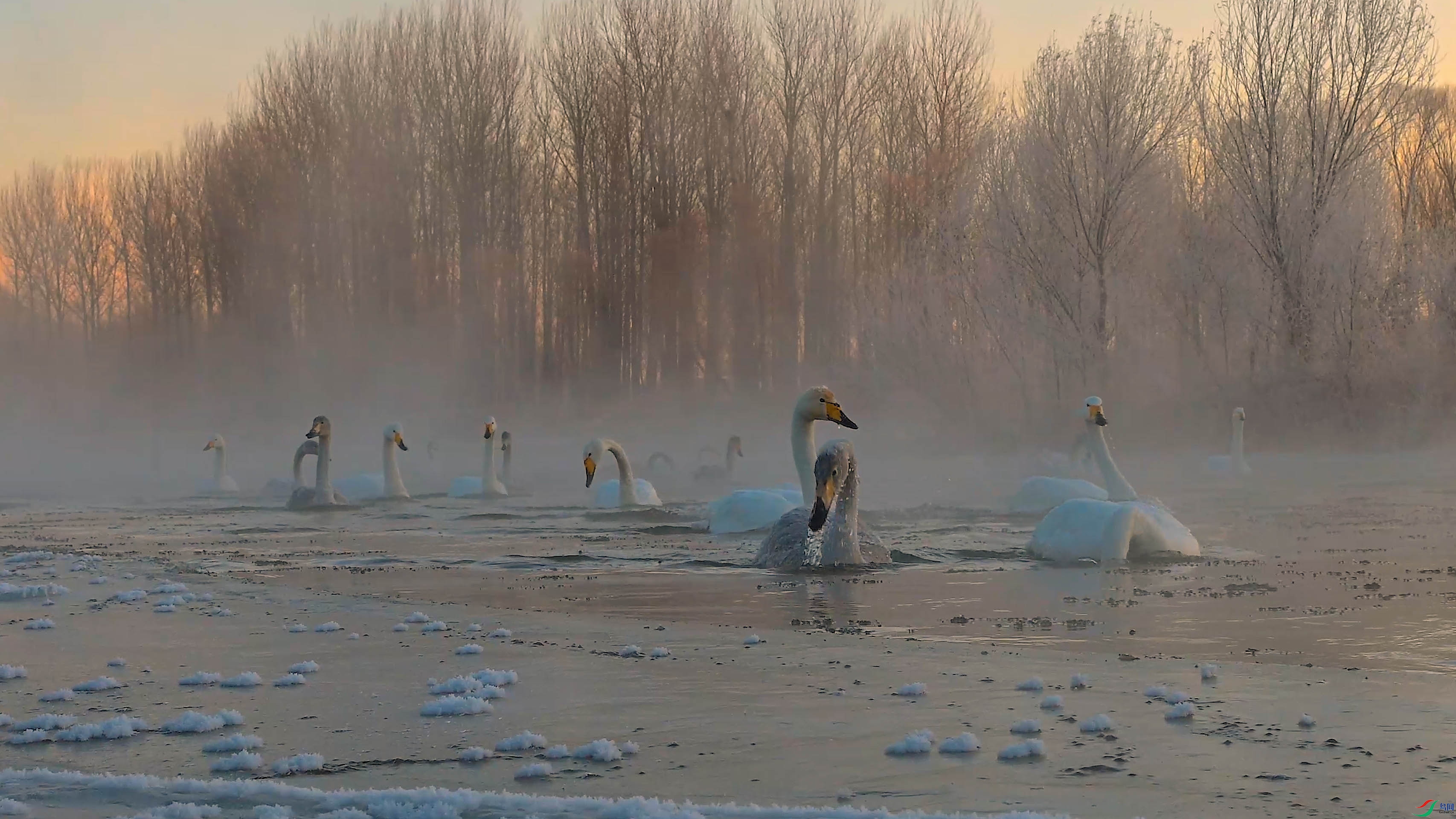 17 . ����������.00_00_11_17.Still003.jpg