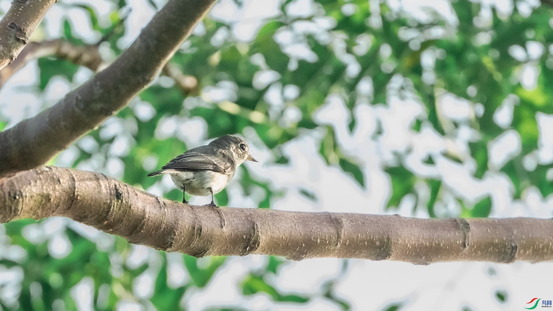 DSC_5036.jpg