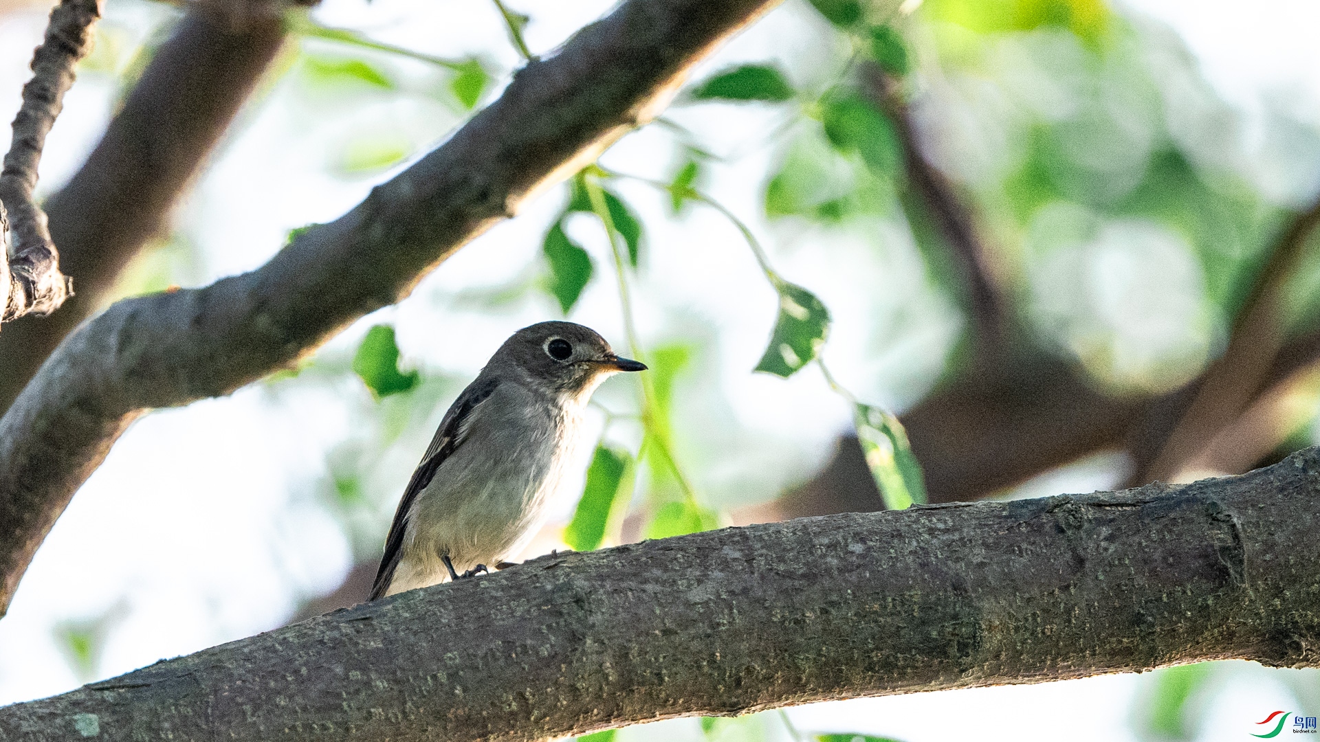DSC_5018.jpg