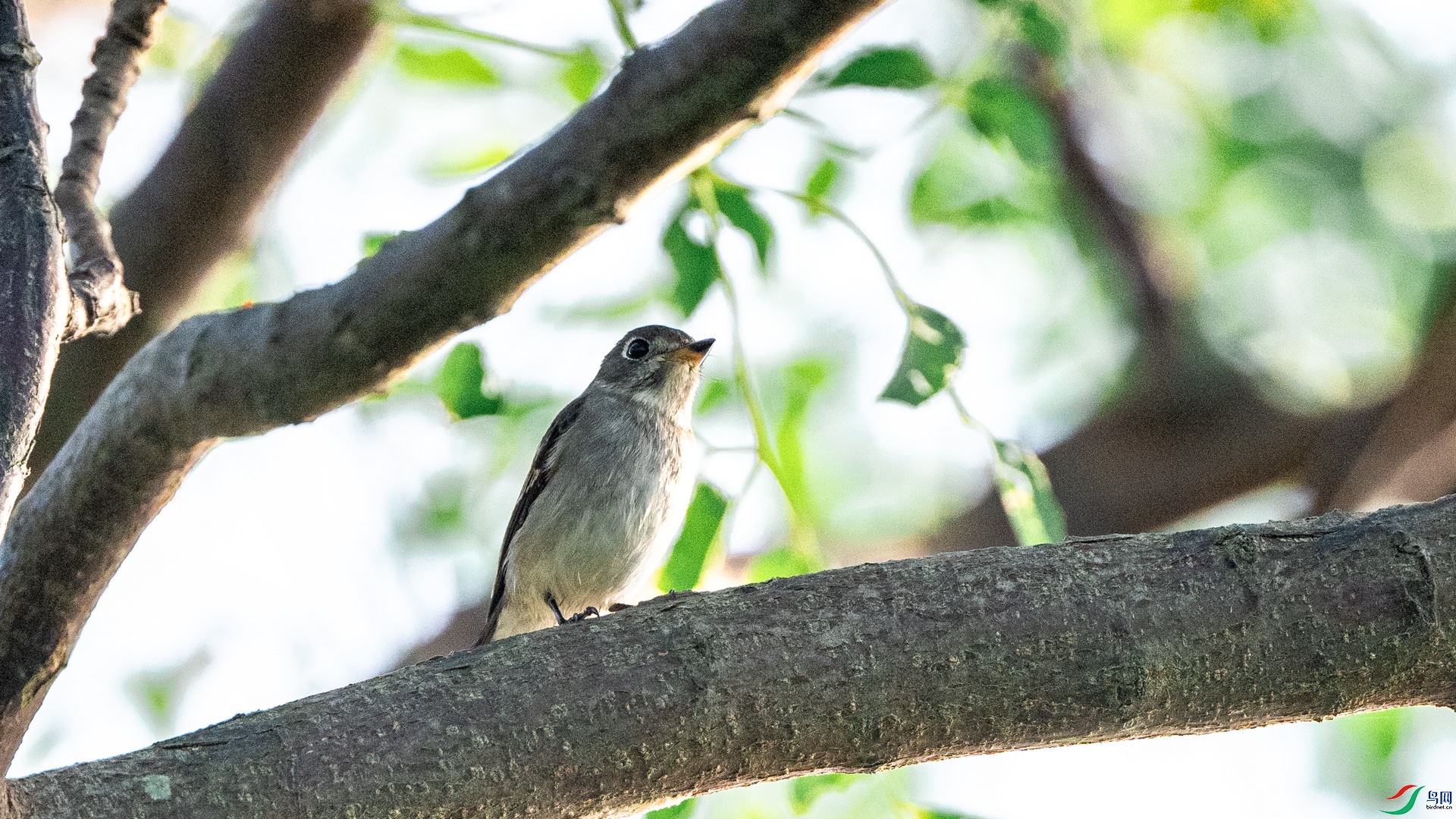 DSC_5019.jpg