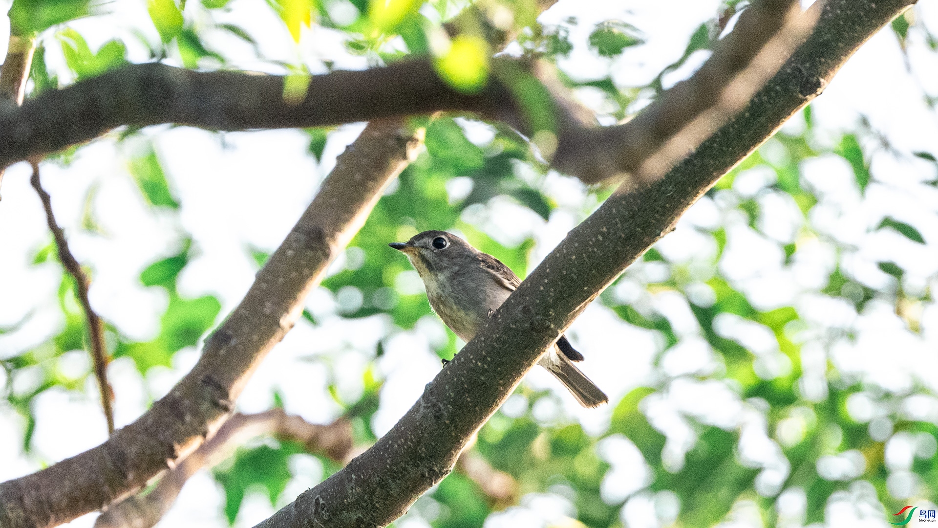 DSC_5030.jpg