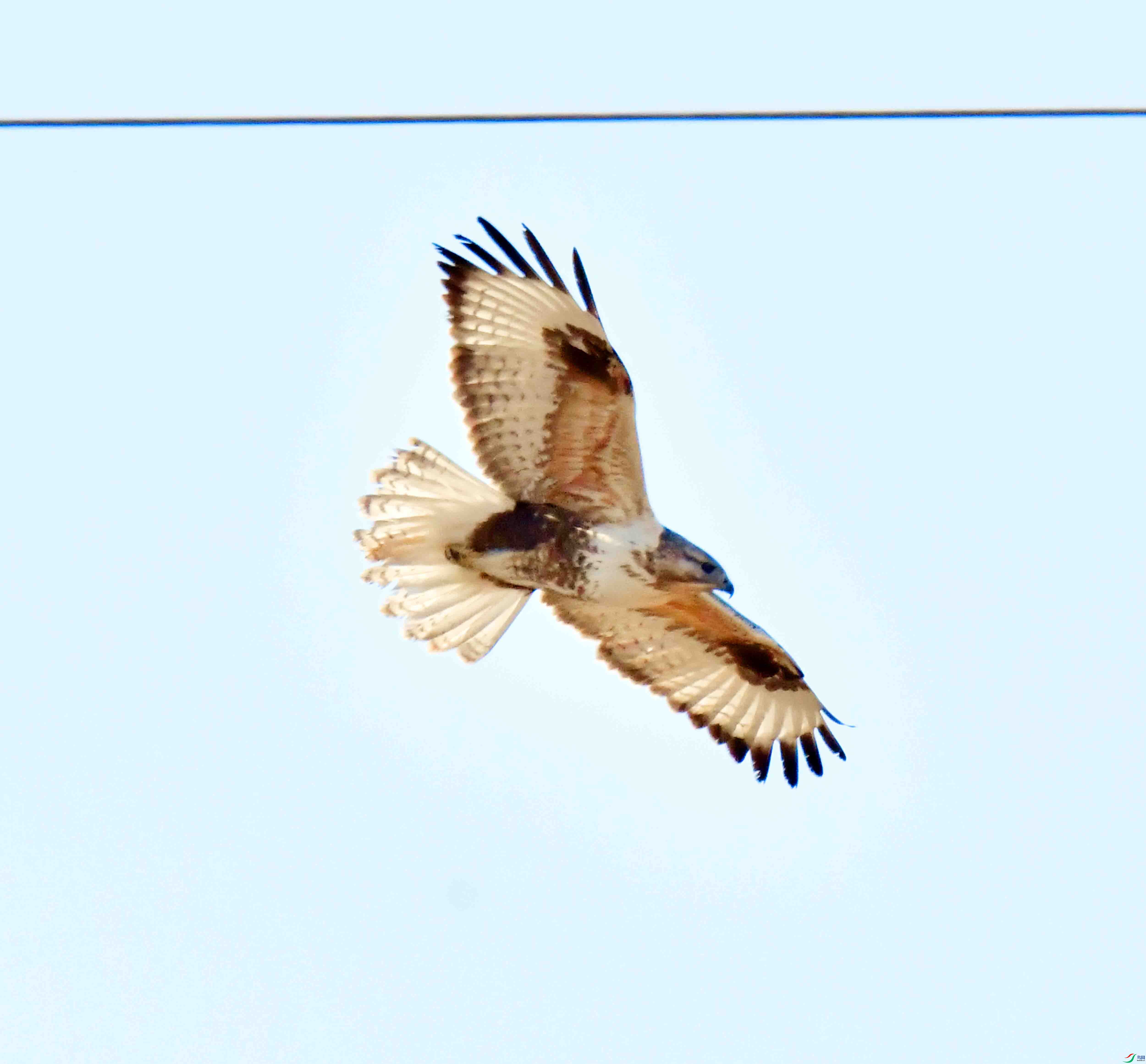DSC_2009.JPG