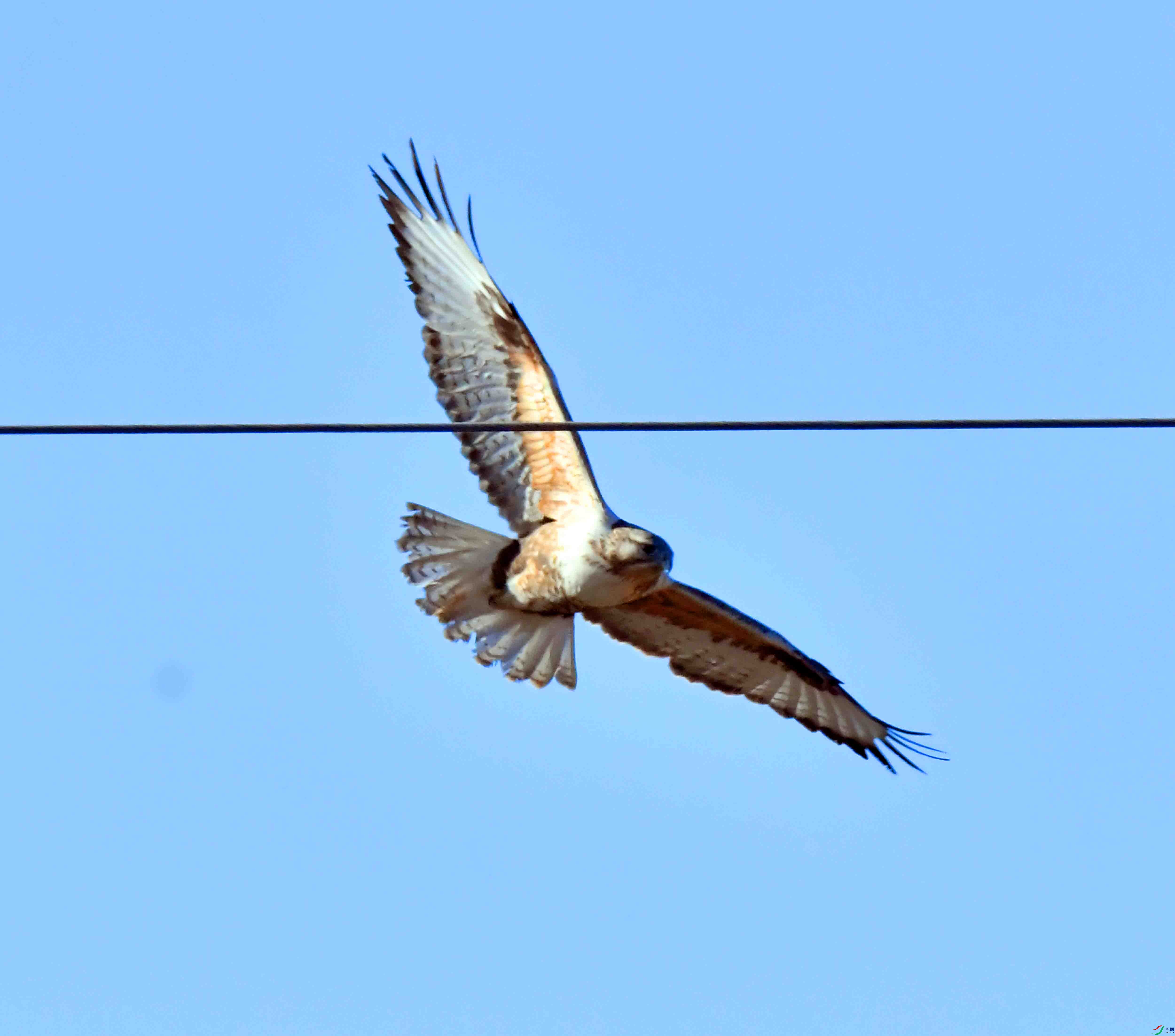 DSC_2006.JPG