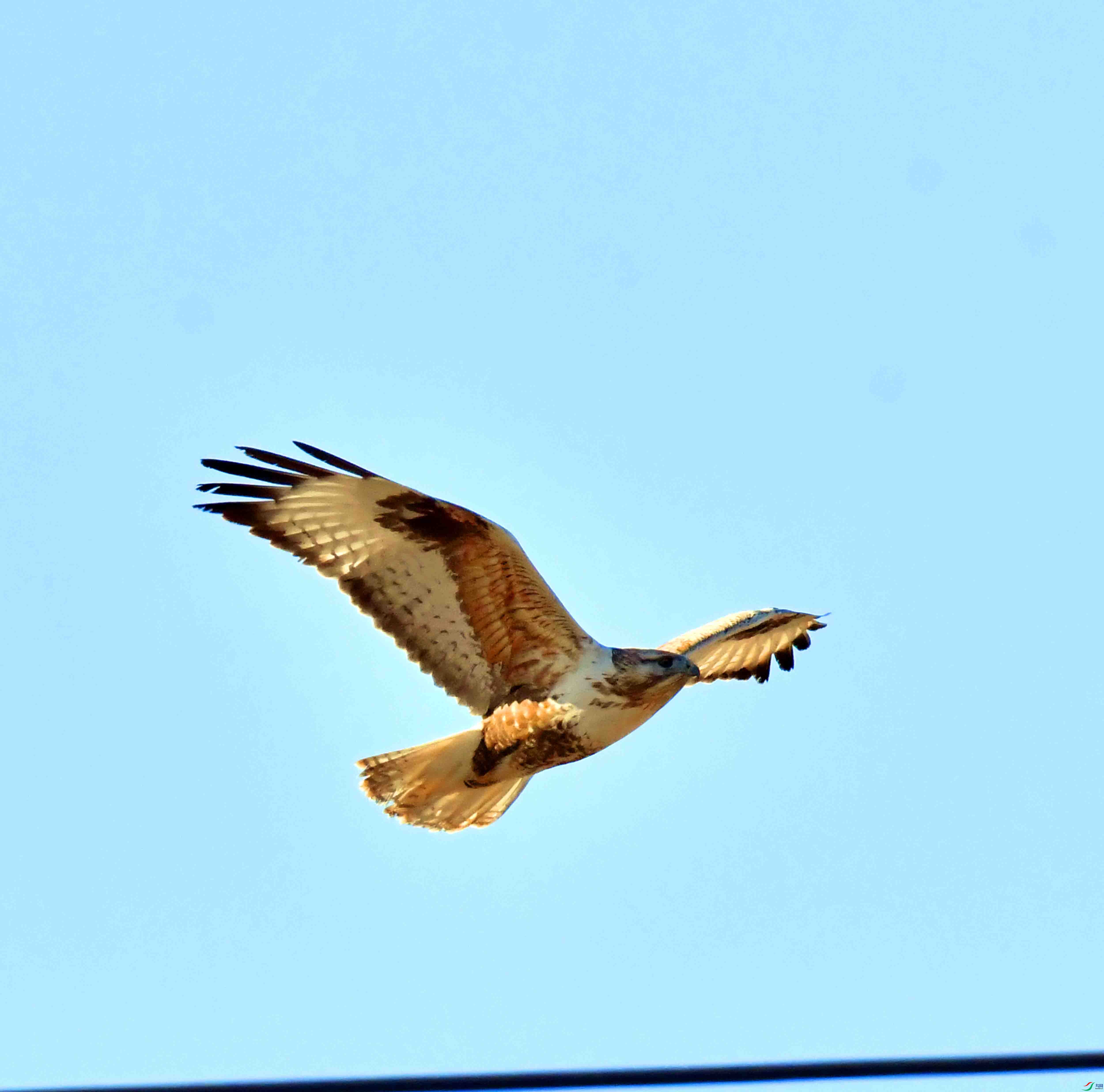 DSC_2026.JPG