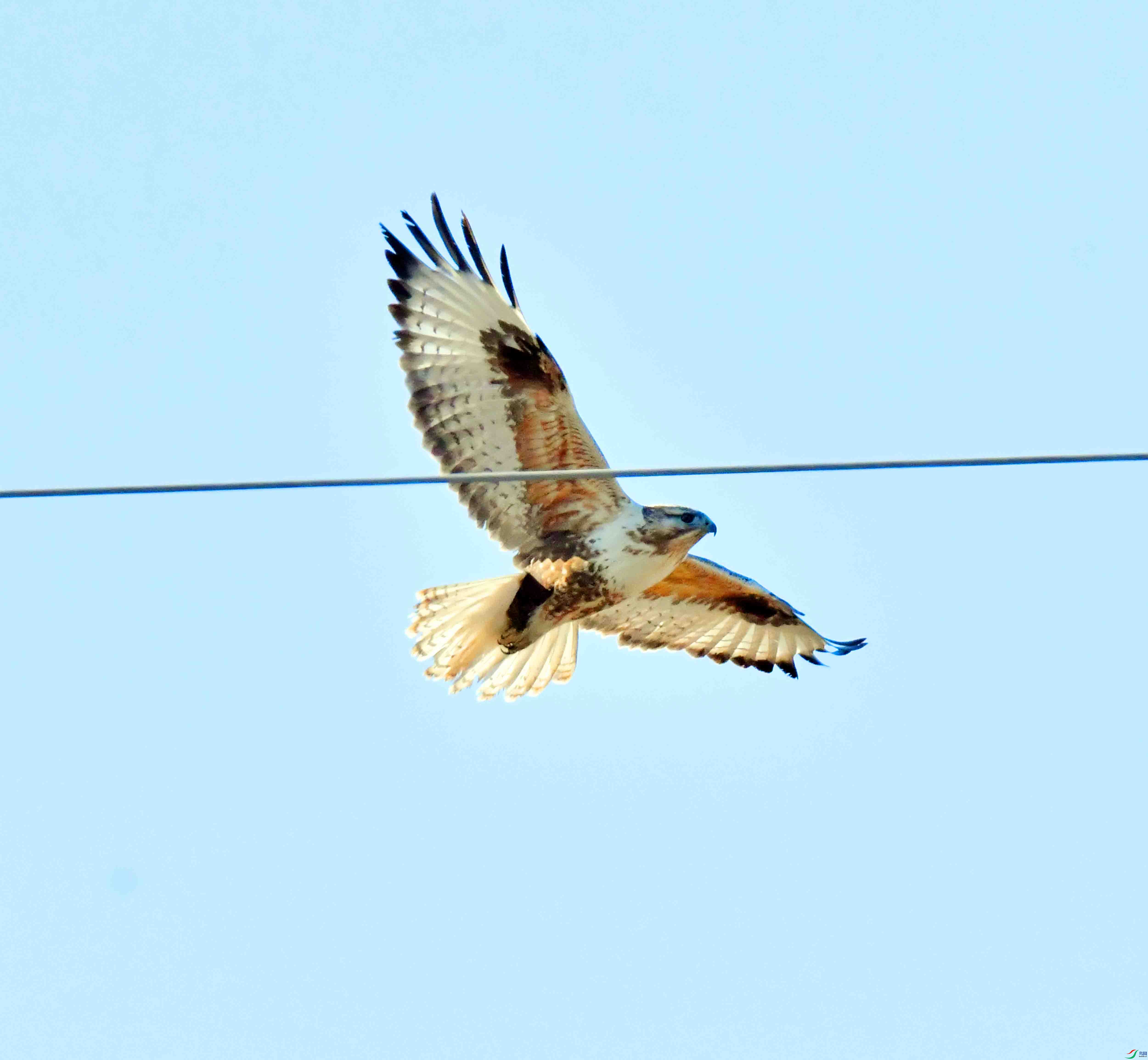 DSC_2030.JPG
