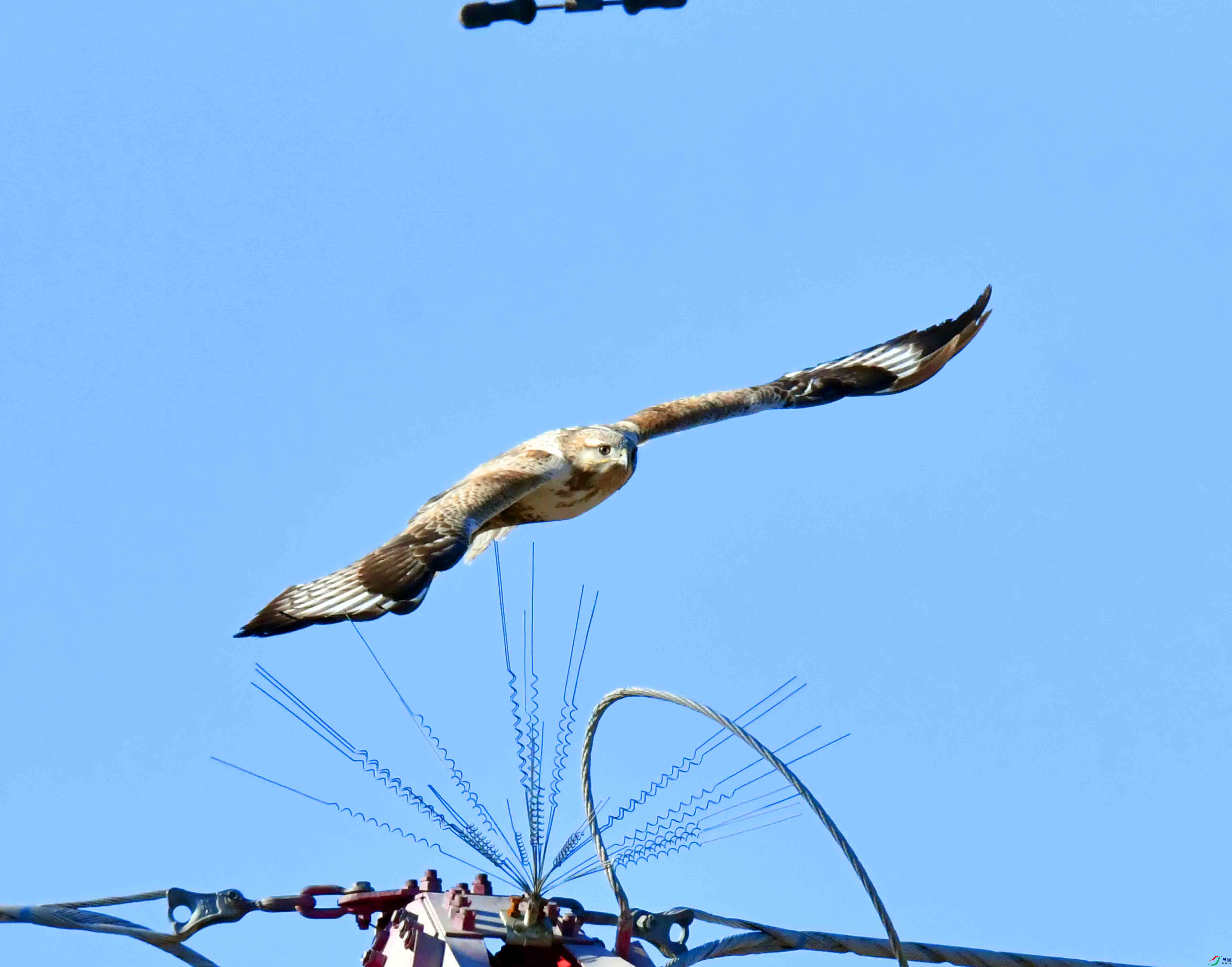 DSC_2034.JPG
