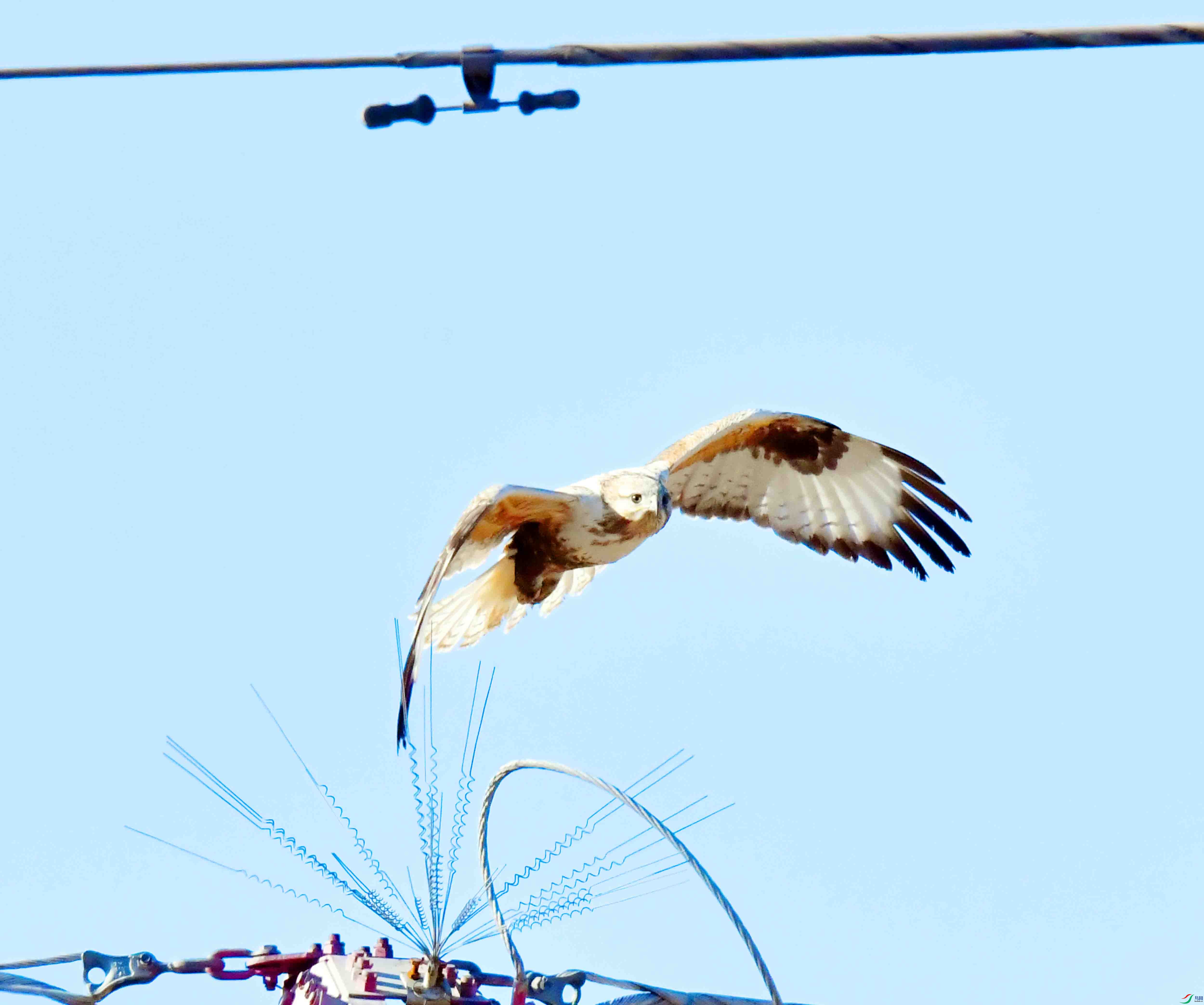 DSC_2035.JPG