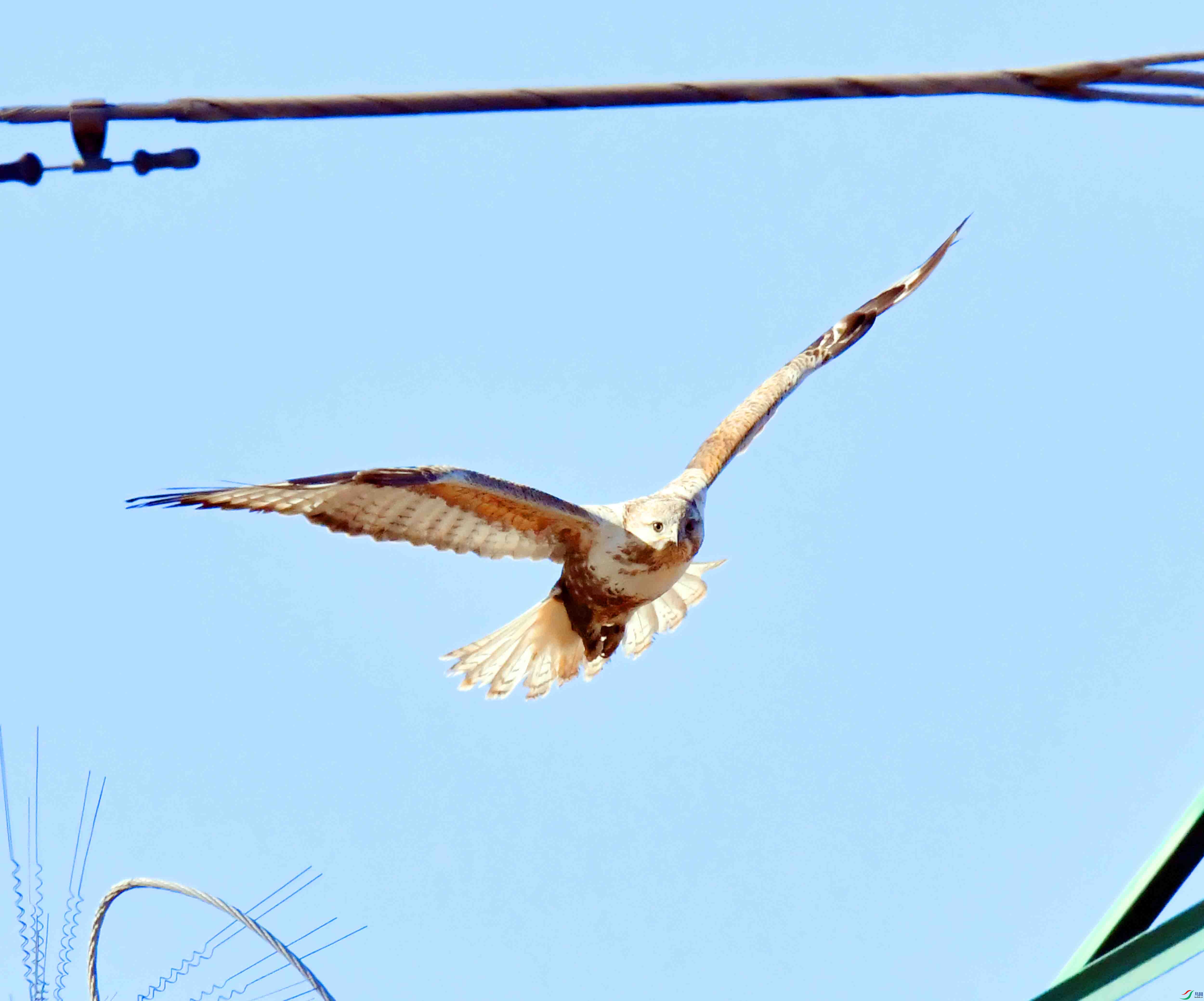 DSC_2036.JPG