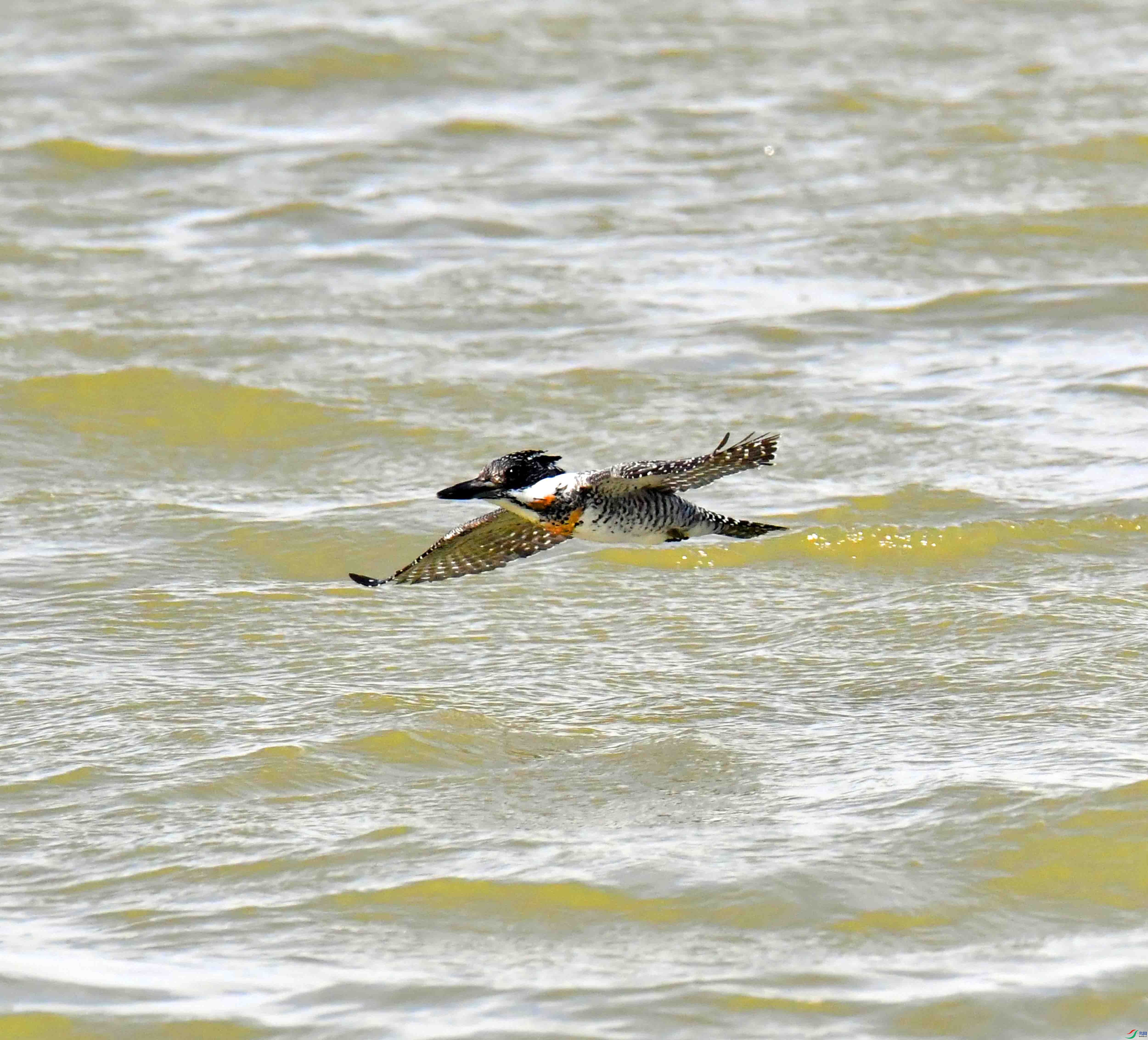DSC_2952.JPG