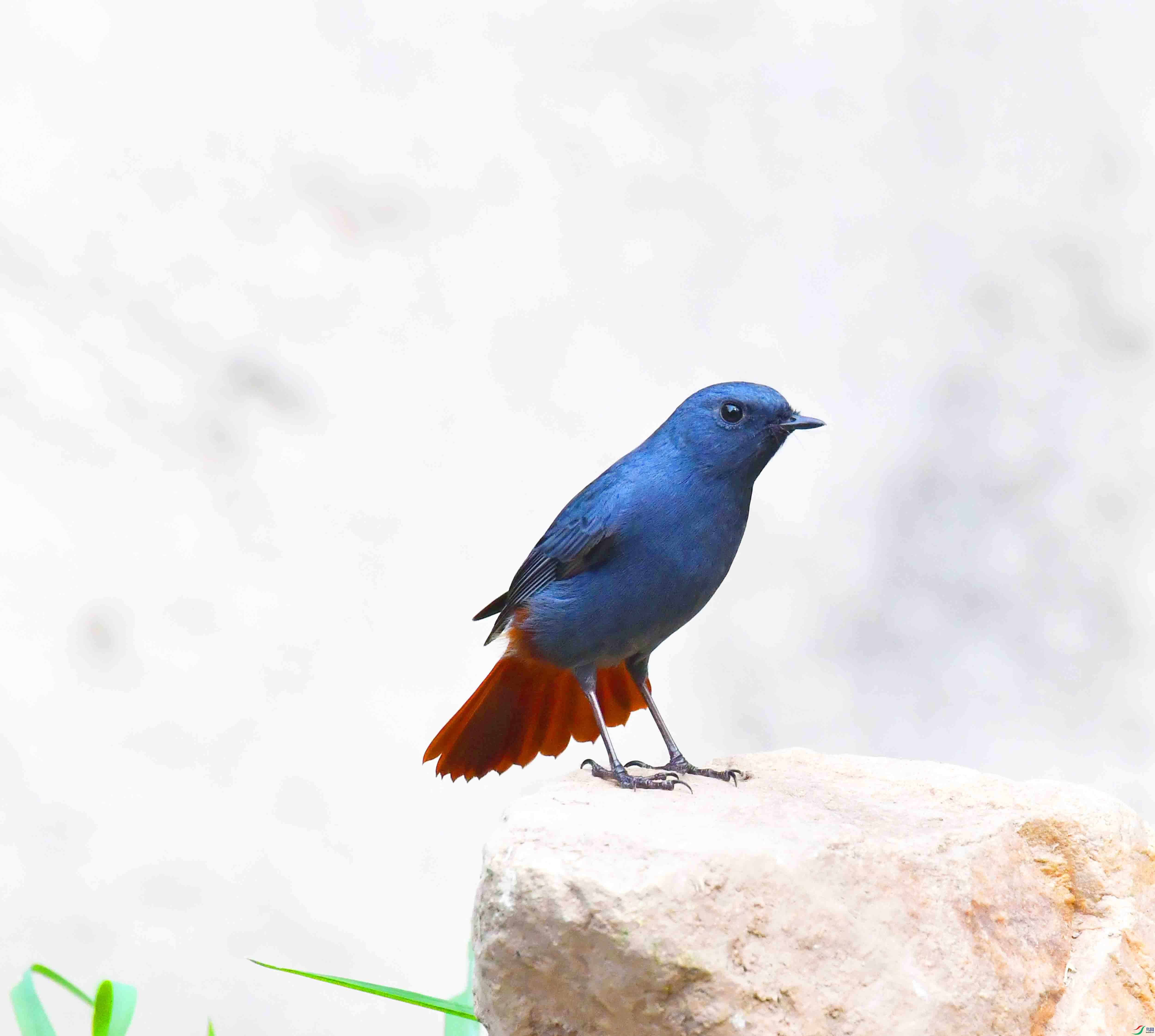 DSC_6634.JPG