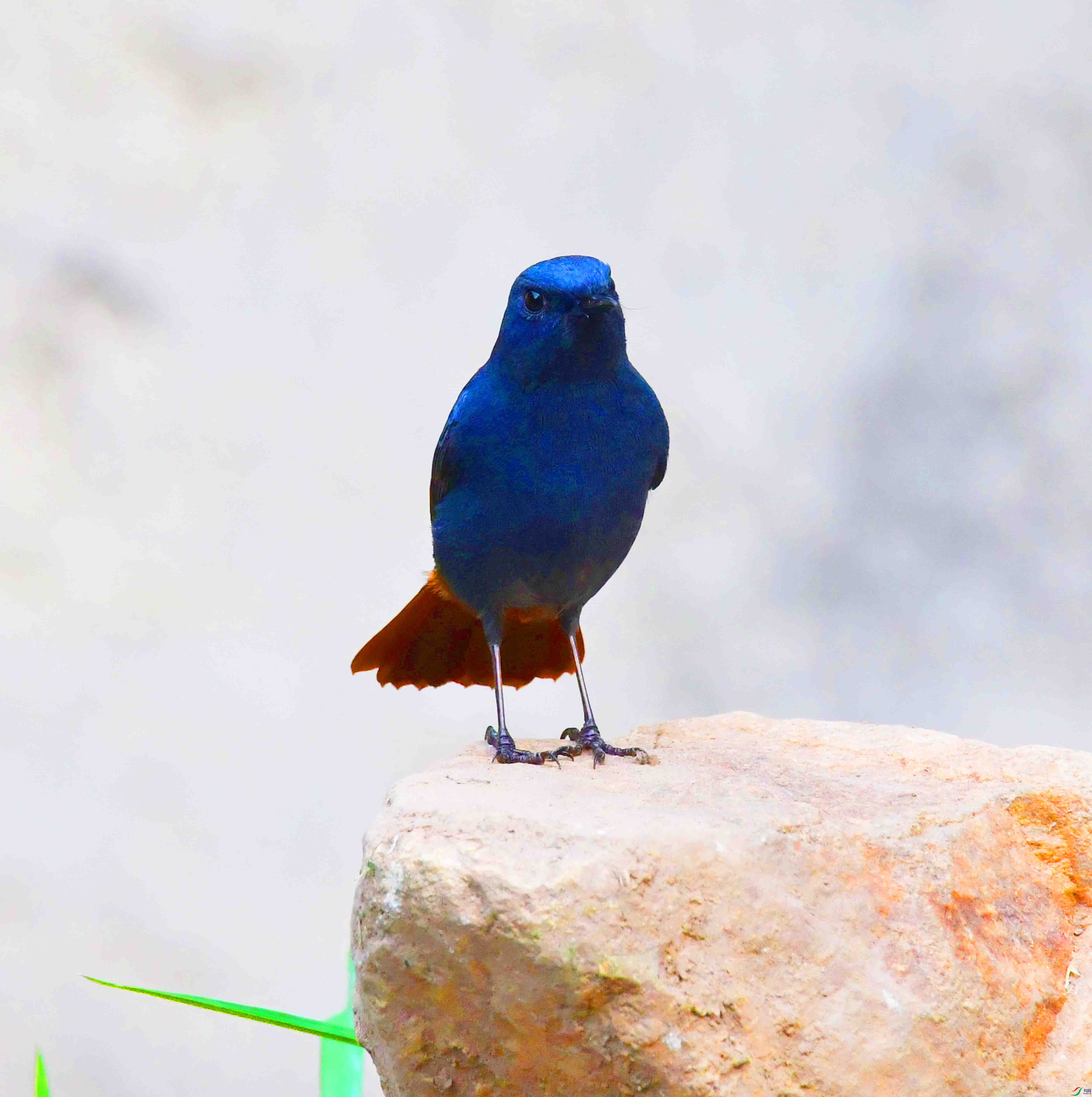 DSC_6651.JPG