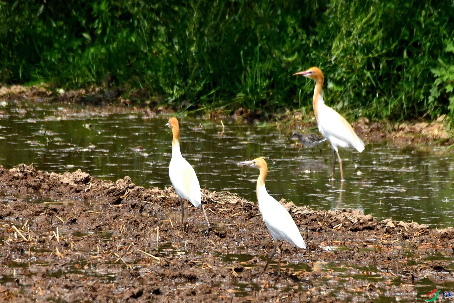 DSC_8024.JPG