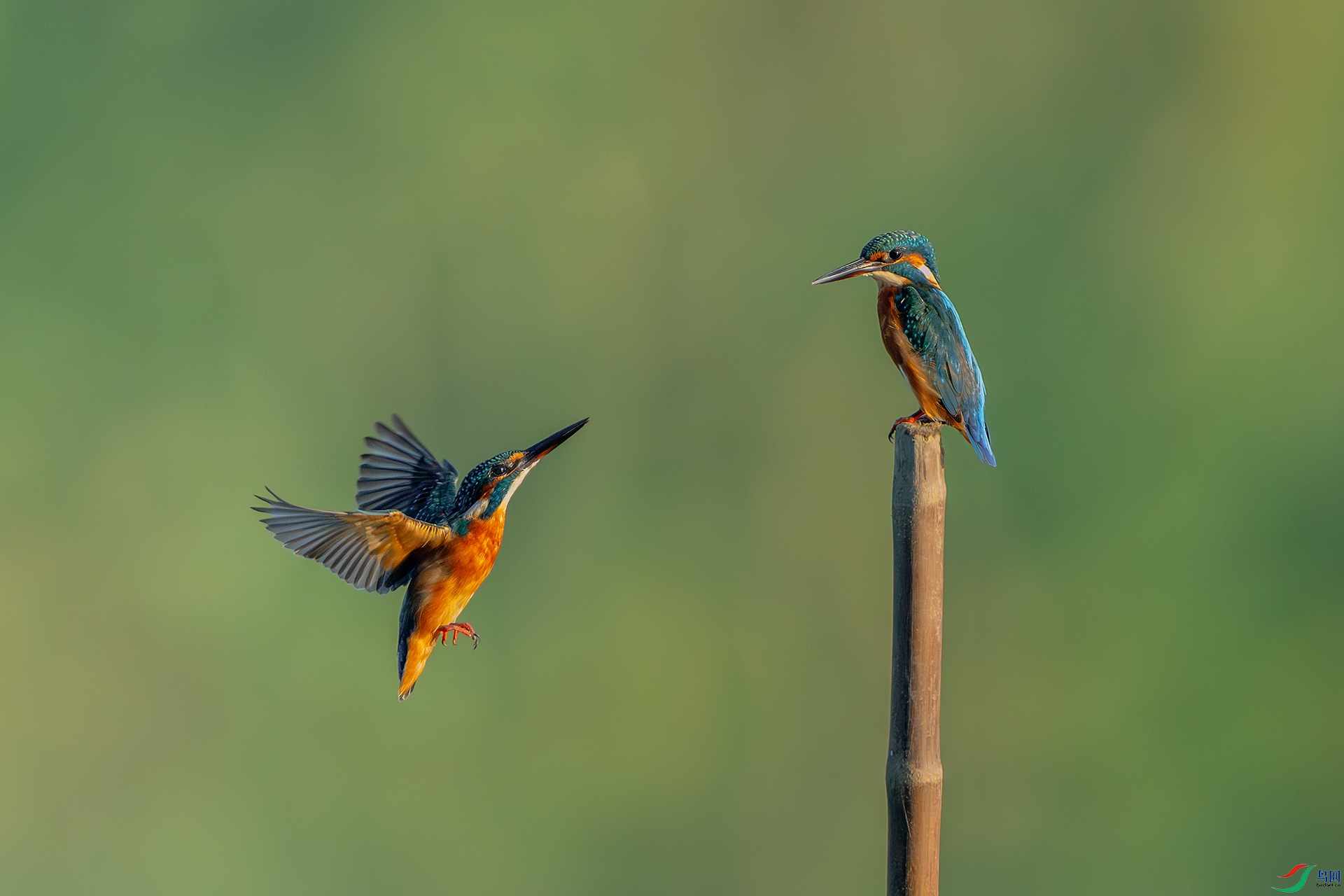 _DSC5166 ����С.jpg