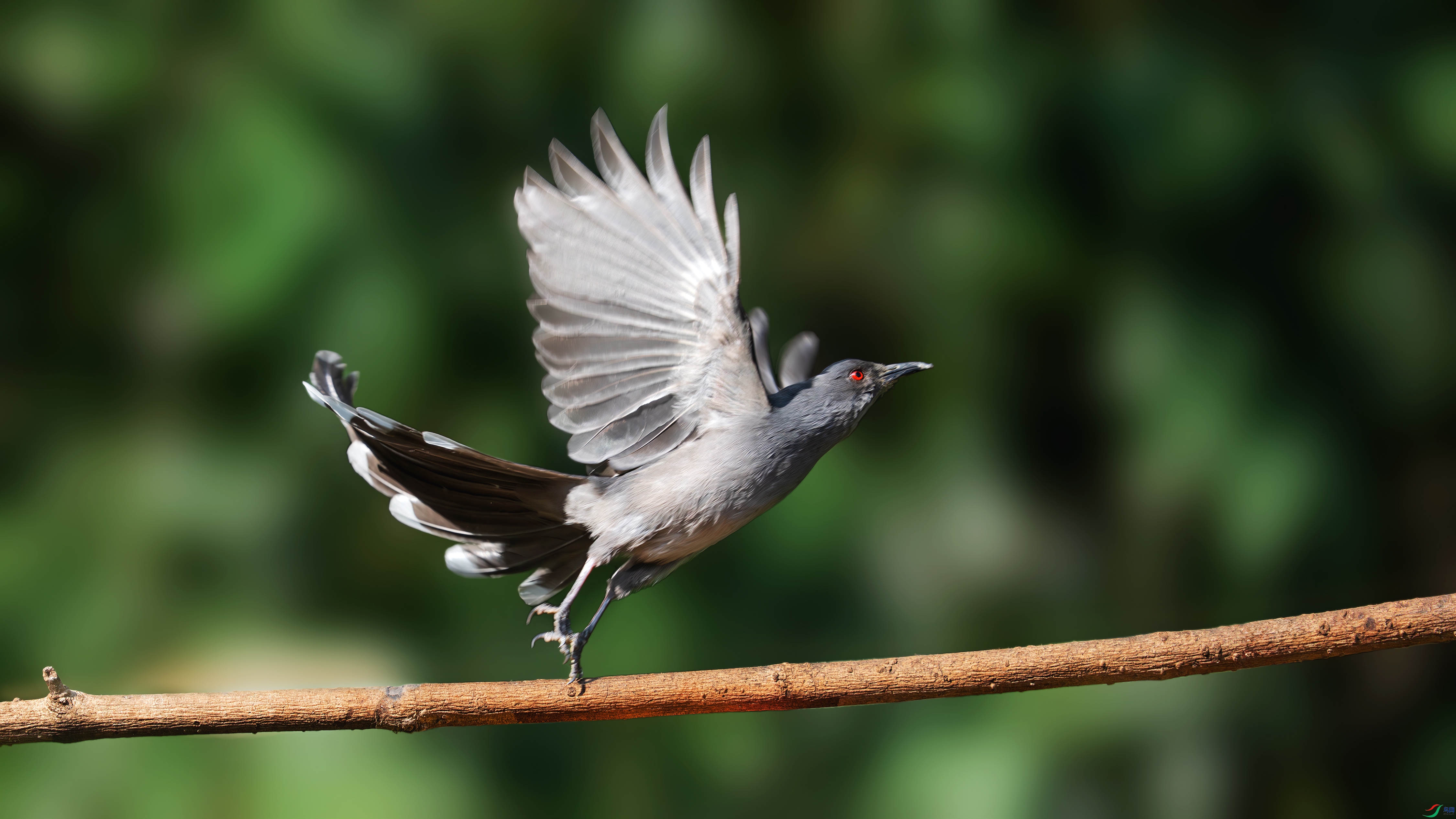 _DSC1065 ����..jpg