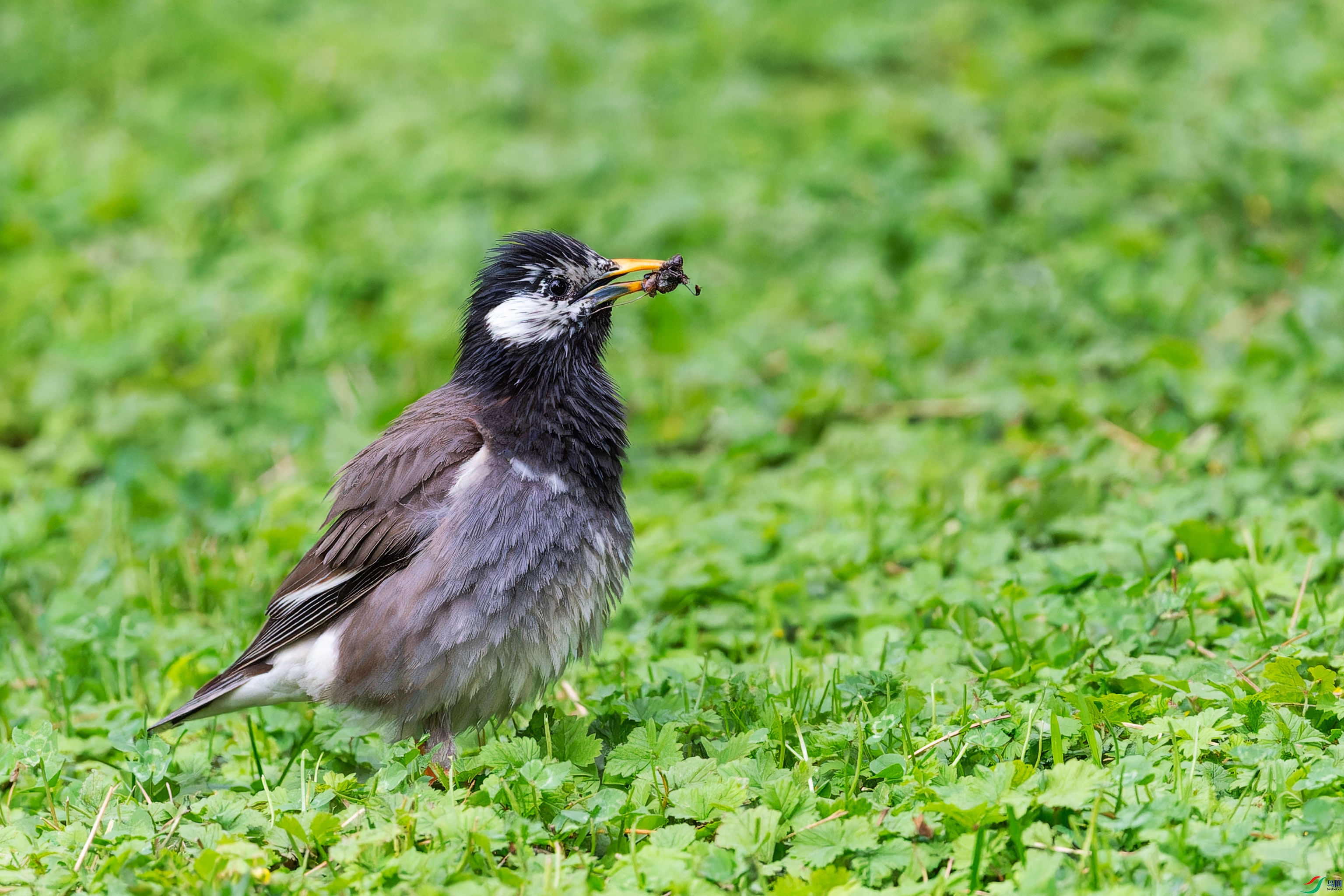 DSC_5015.jpg