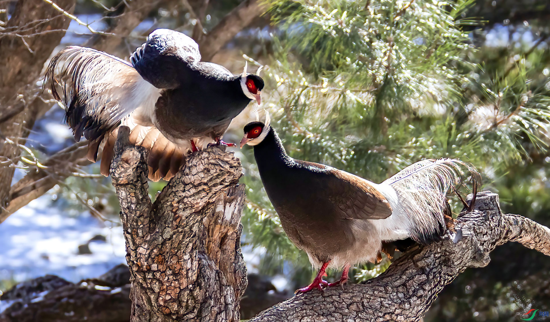 _07A9002 ����-Sh----1 .jpg