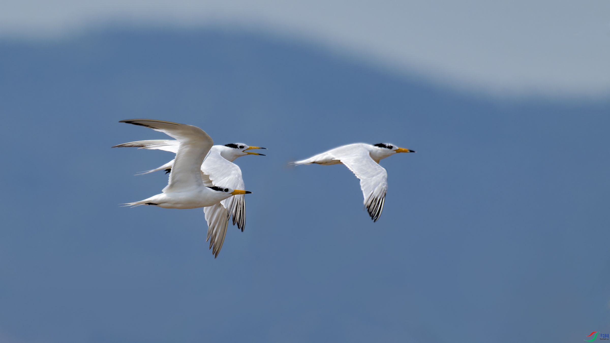 DSC_5748_DxO.jpg
