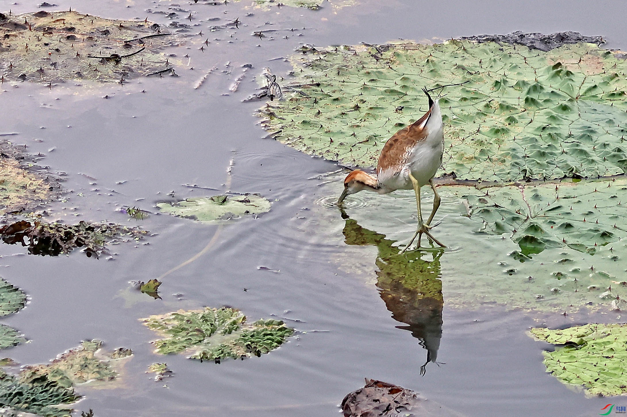 2G9A8032.JPG