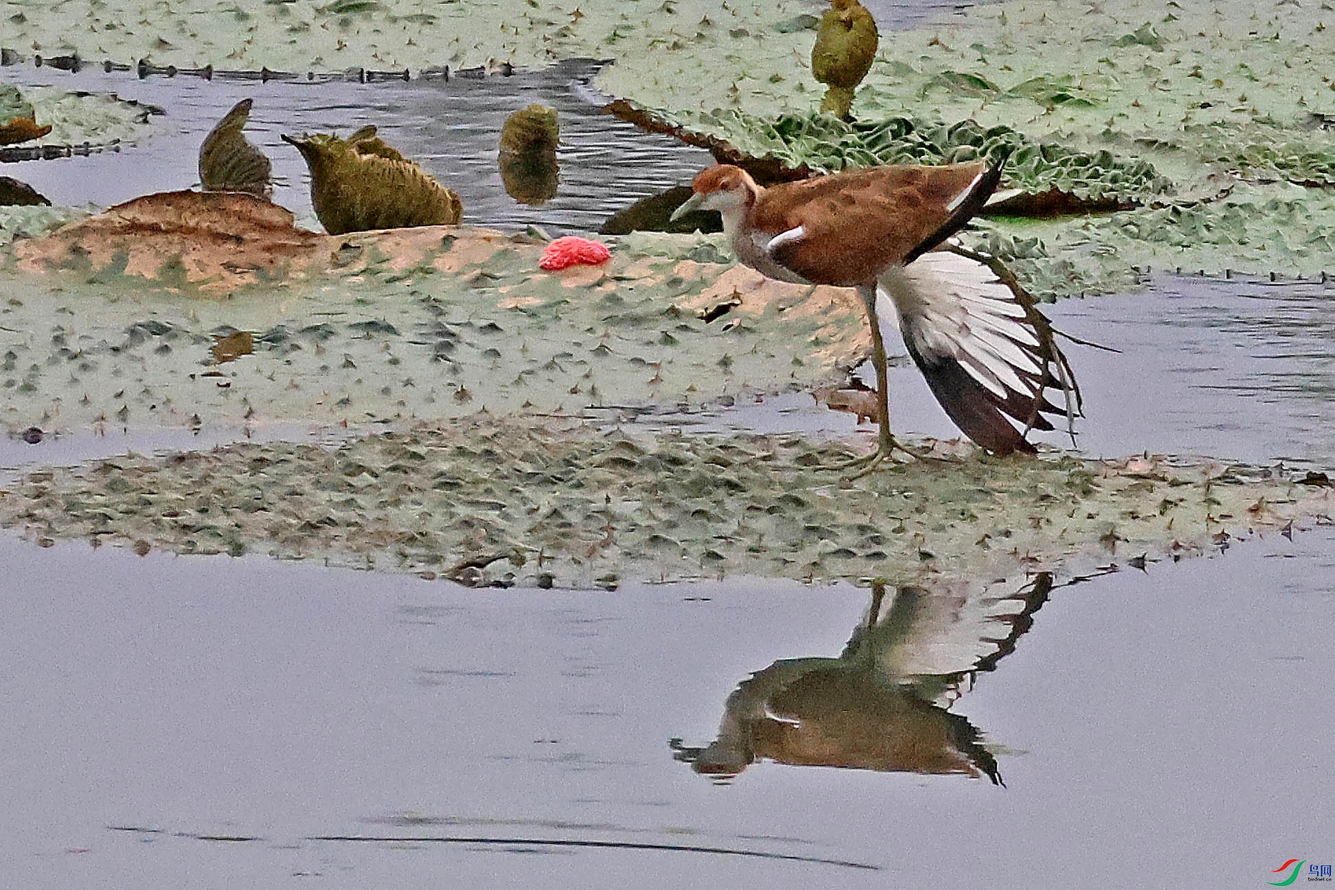 2G9A8059.JPG