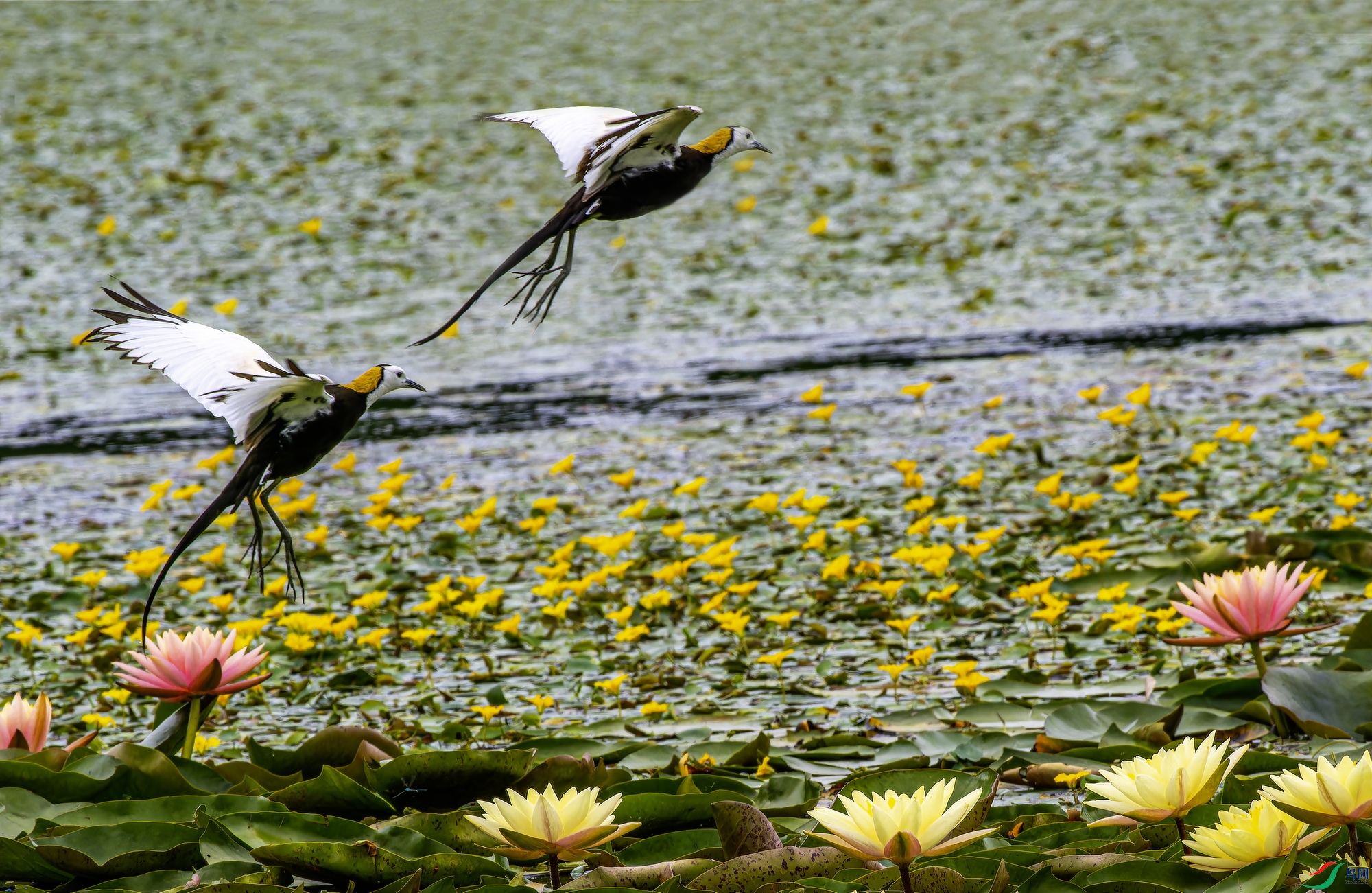 ˮ�� (282)-01.jpg