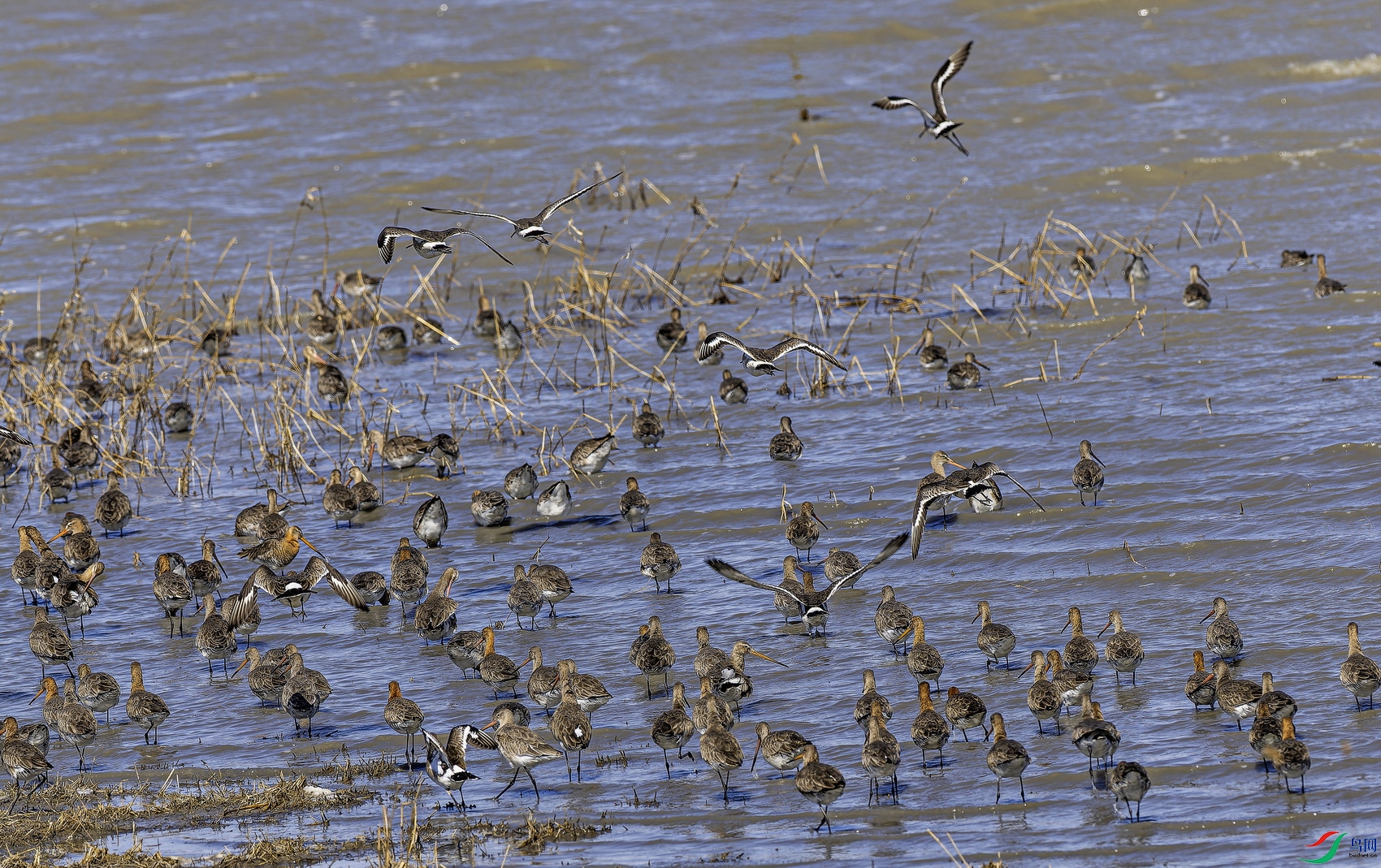 ��β���� (3)-01.jpg