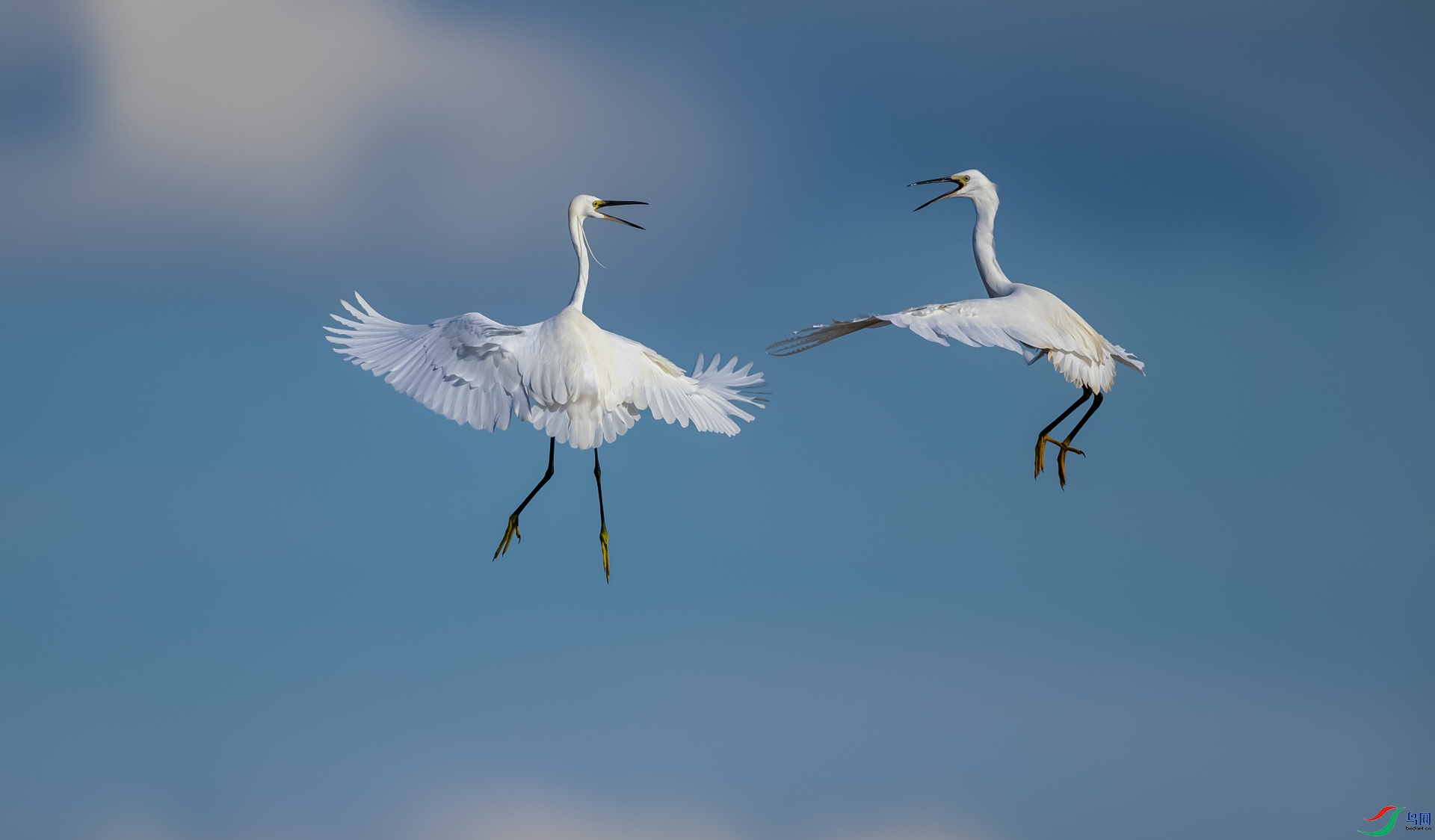 2F5A8644_1_2.jpg