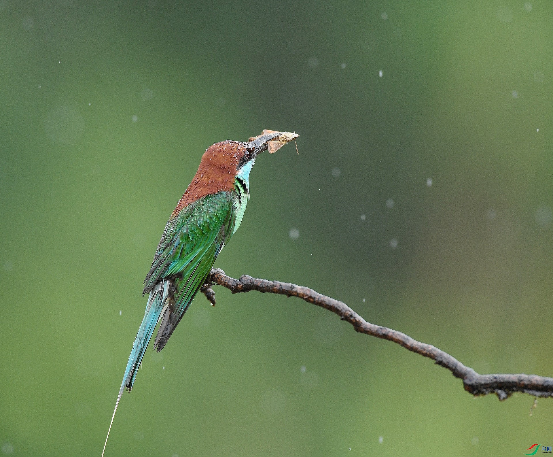 DSC_9043.jpg