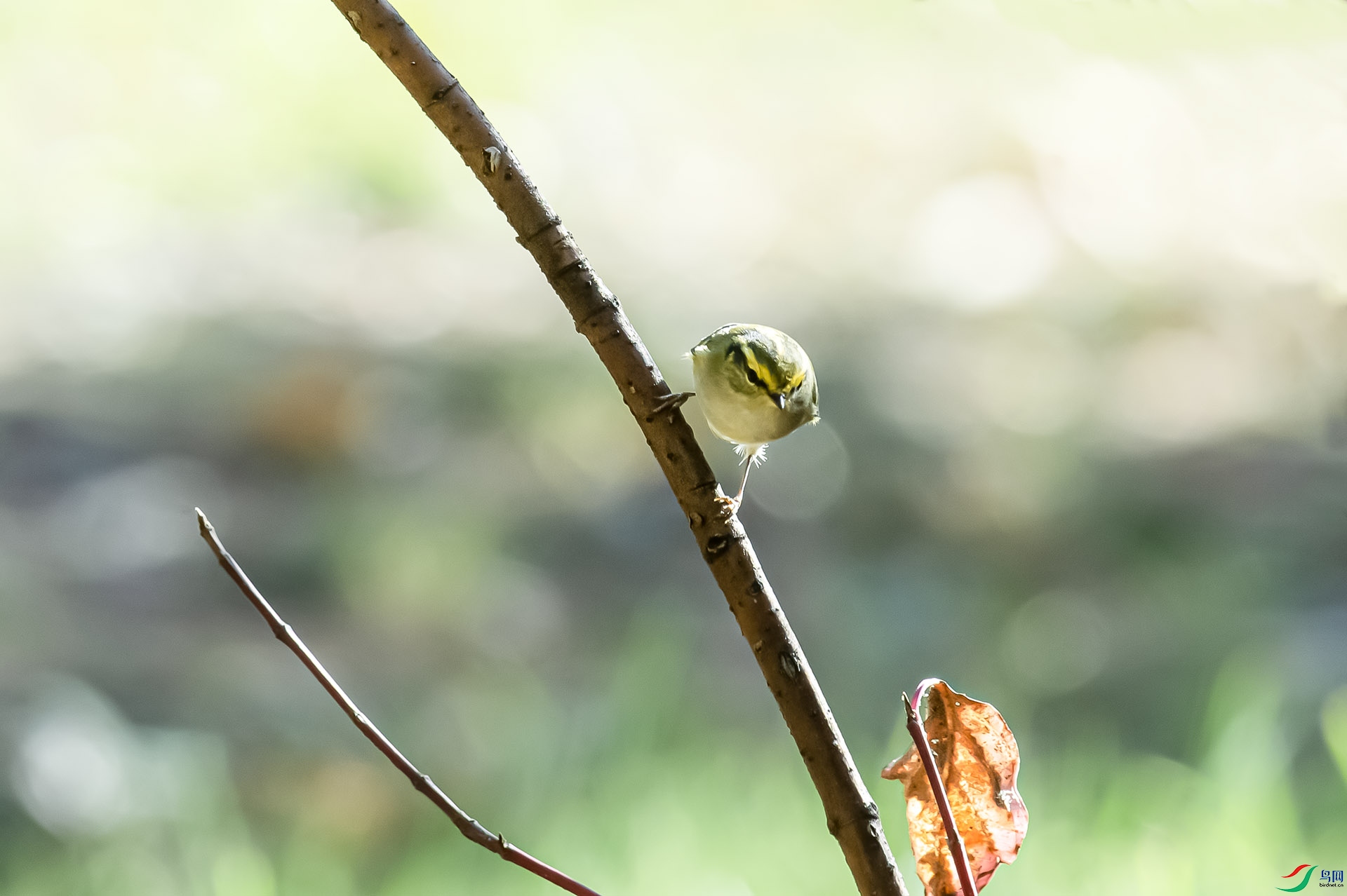 _DSC7173.jpg