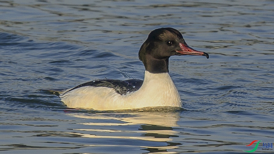 _MG_1890 ���� 3.jpg