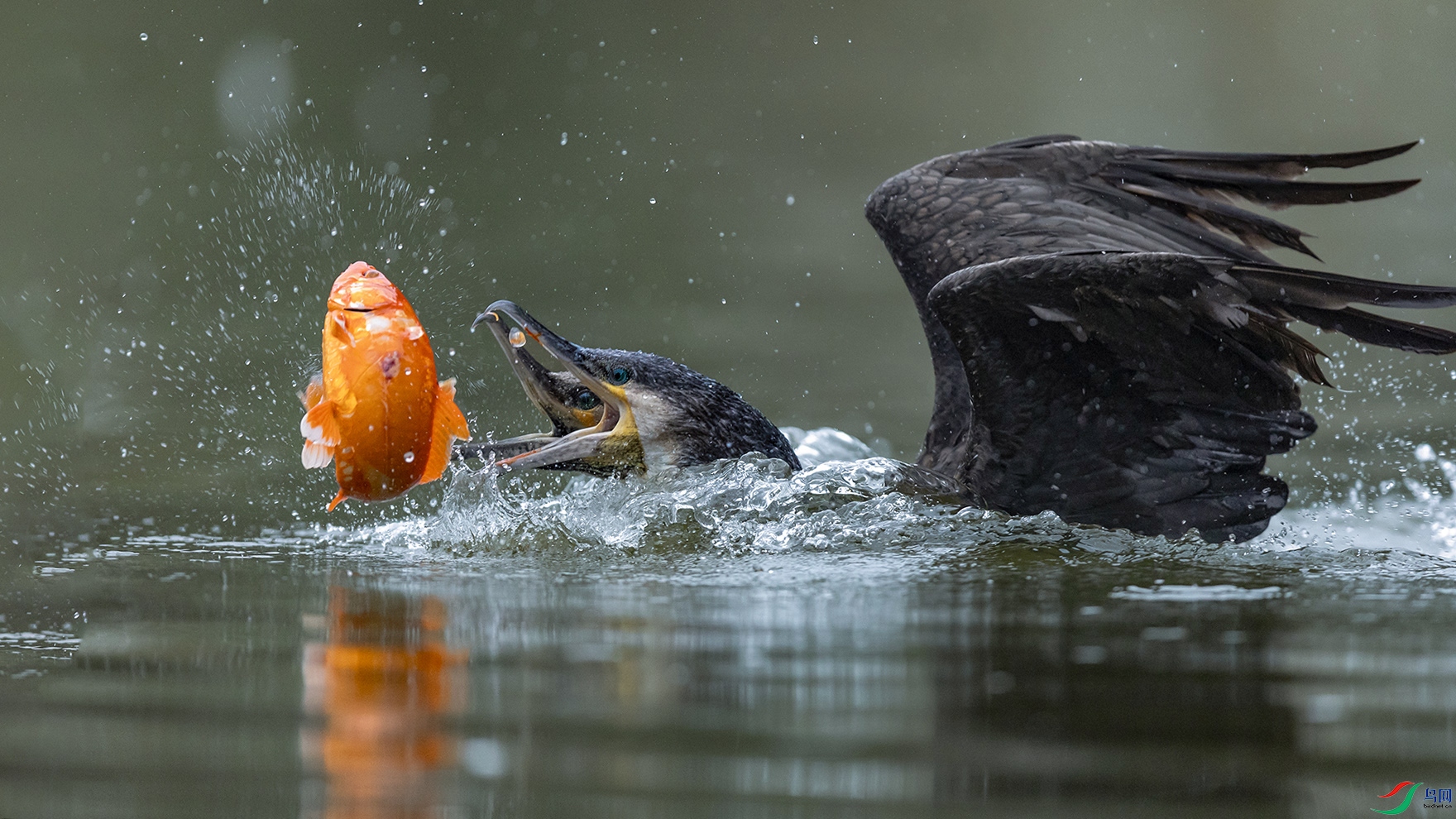 089A6288_��ͼ��_��ͼ�� ����.jpgx_��ͼ��.jpg