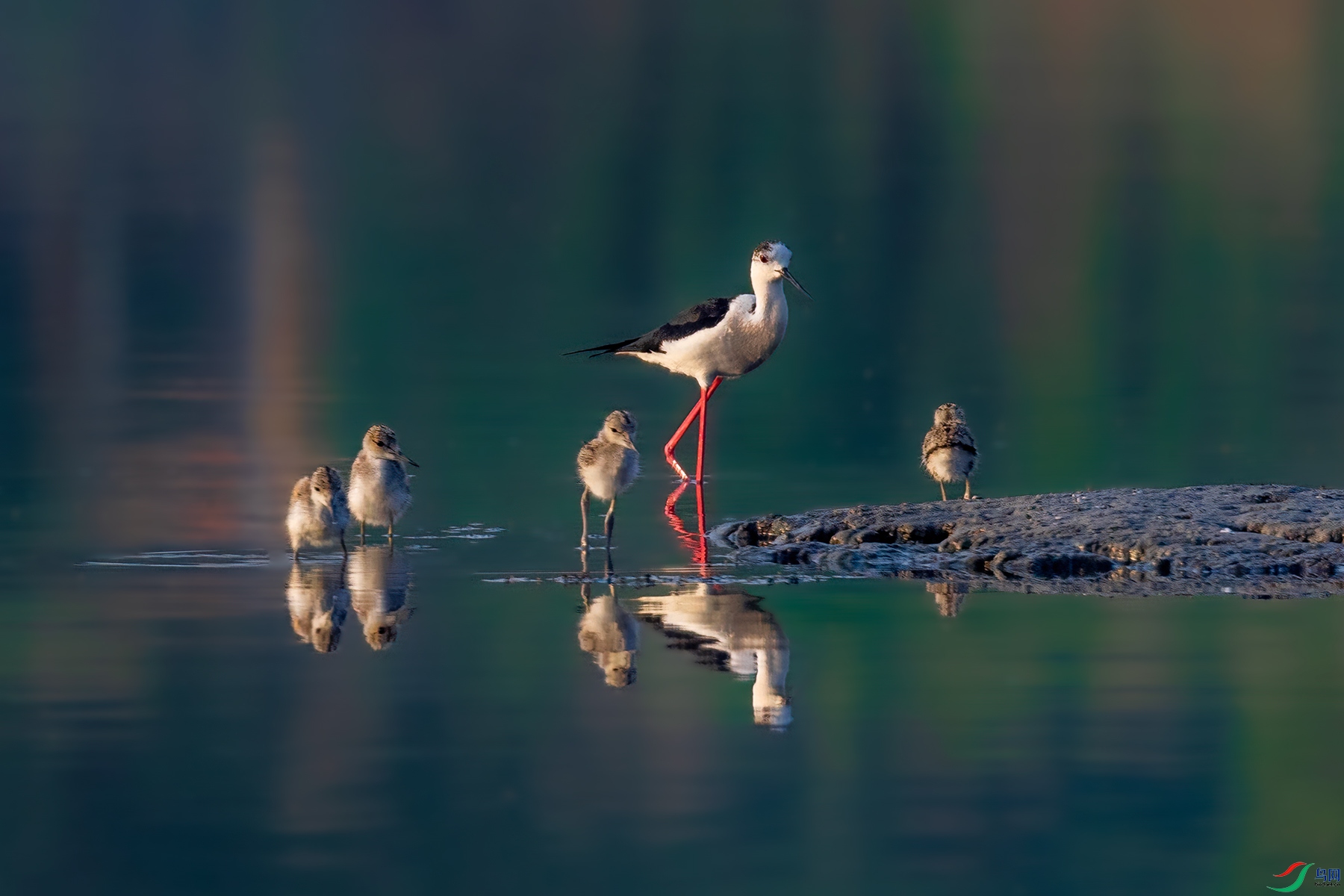 1P8A4159.jpg