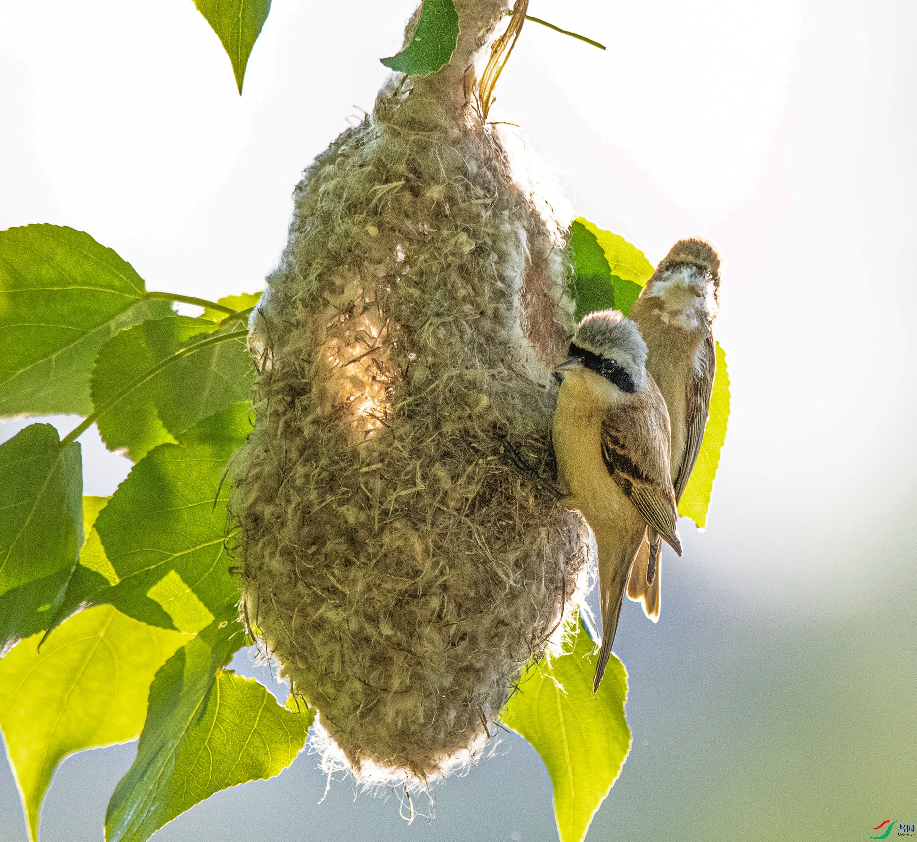 DSC_0787_��ͼ�� ����.jpg