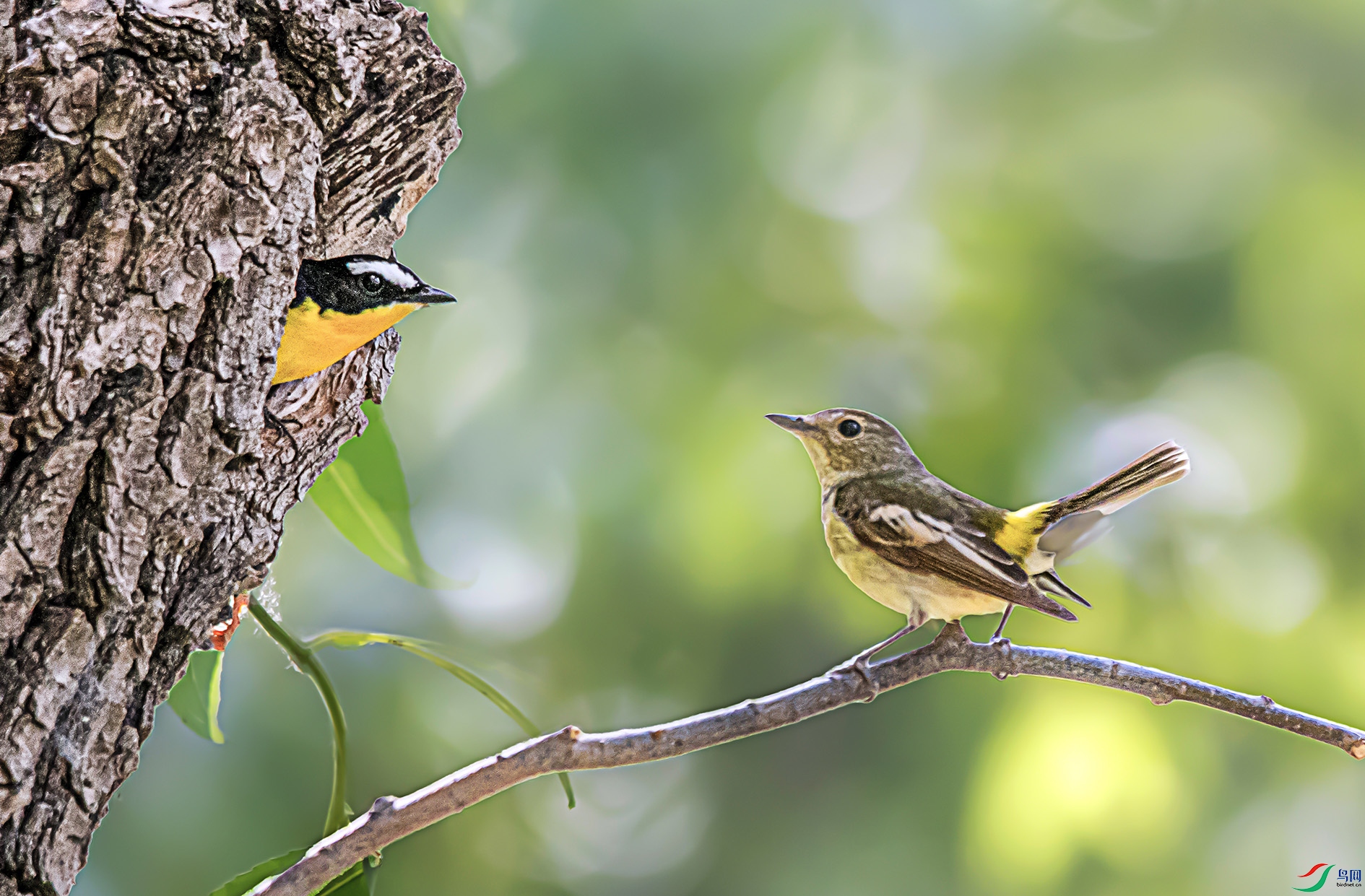 00 ���� 2.jpg