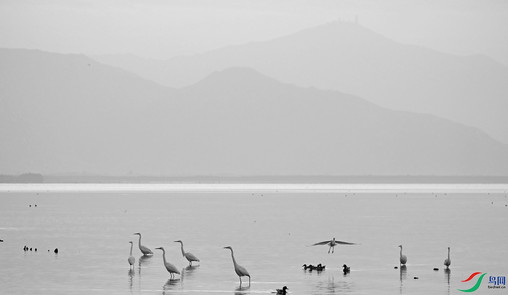 DSCF6633.1.jpg
