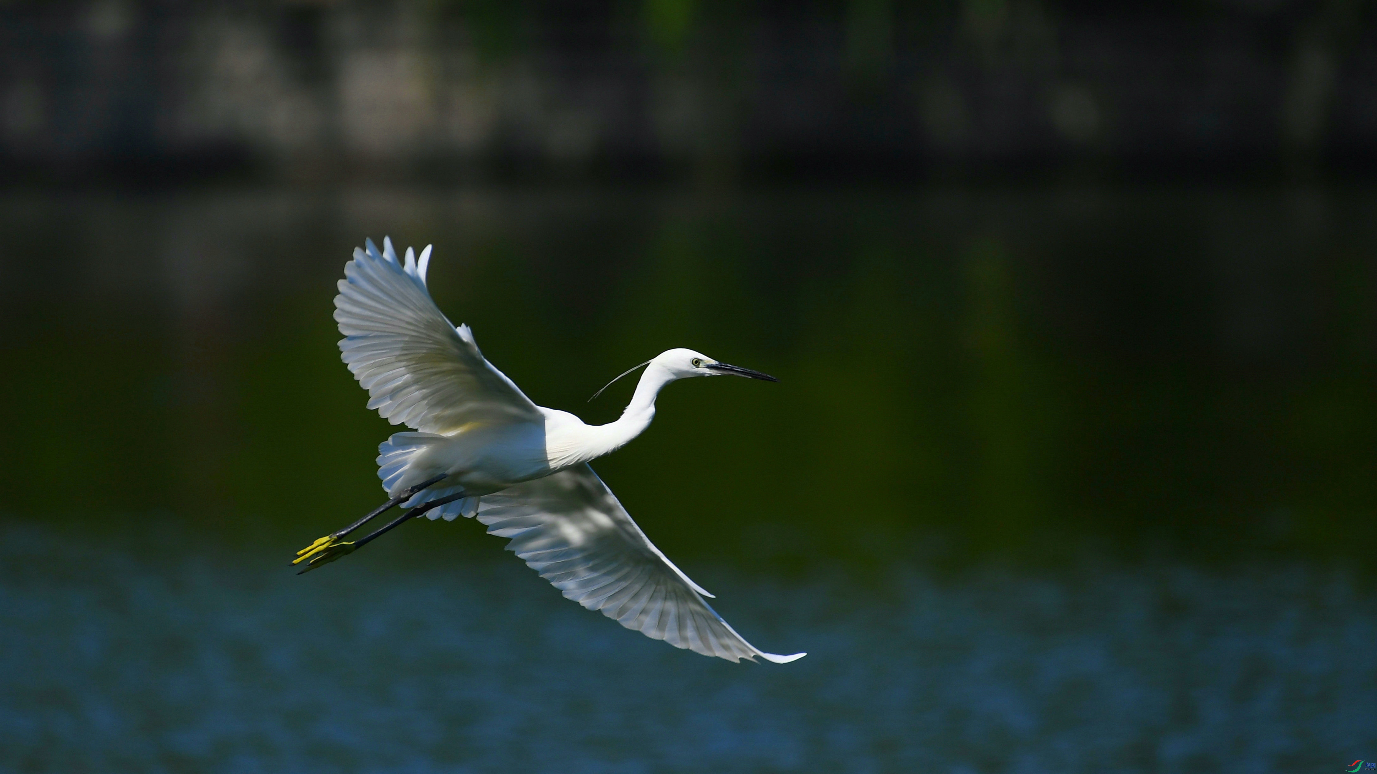 DSC_7124.JPG
