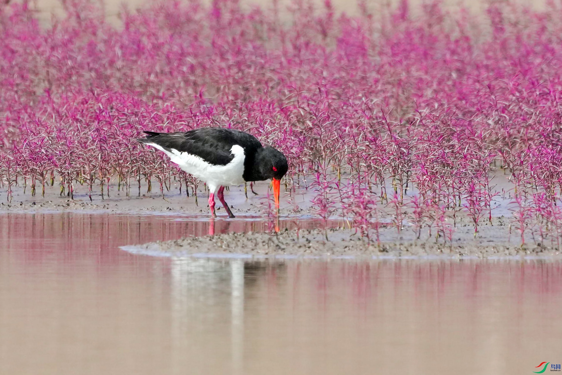 DSC01000 ����.jpg