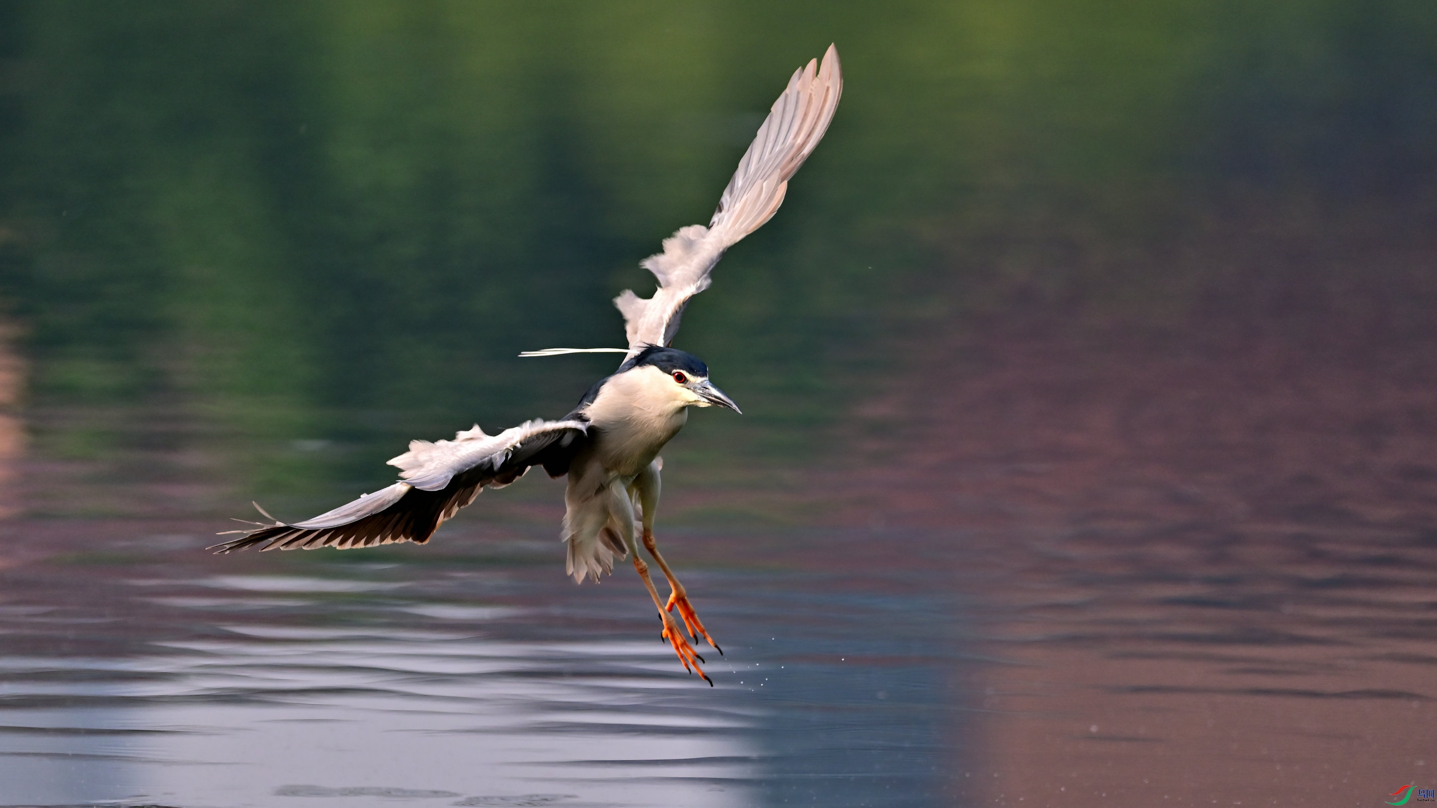DSC_3865_01.jpg