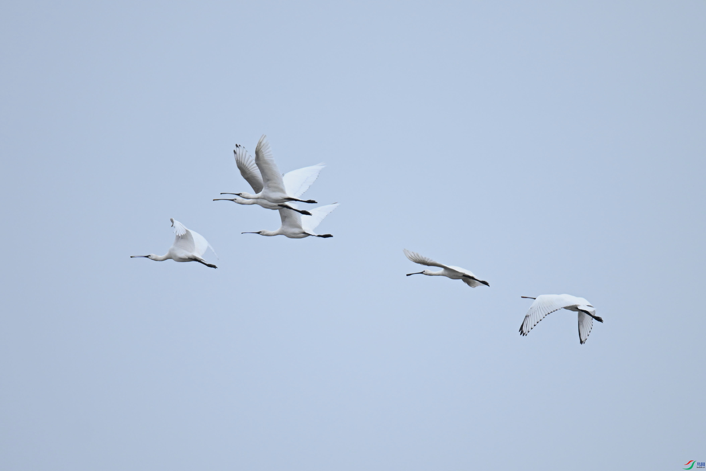 ������ (6).jpg