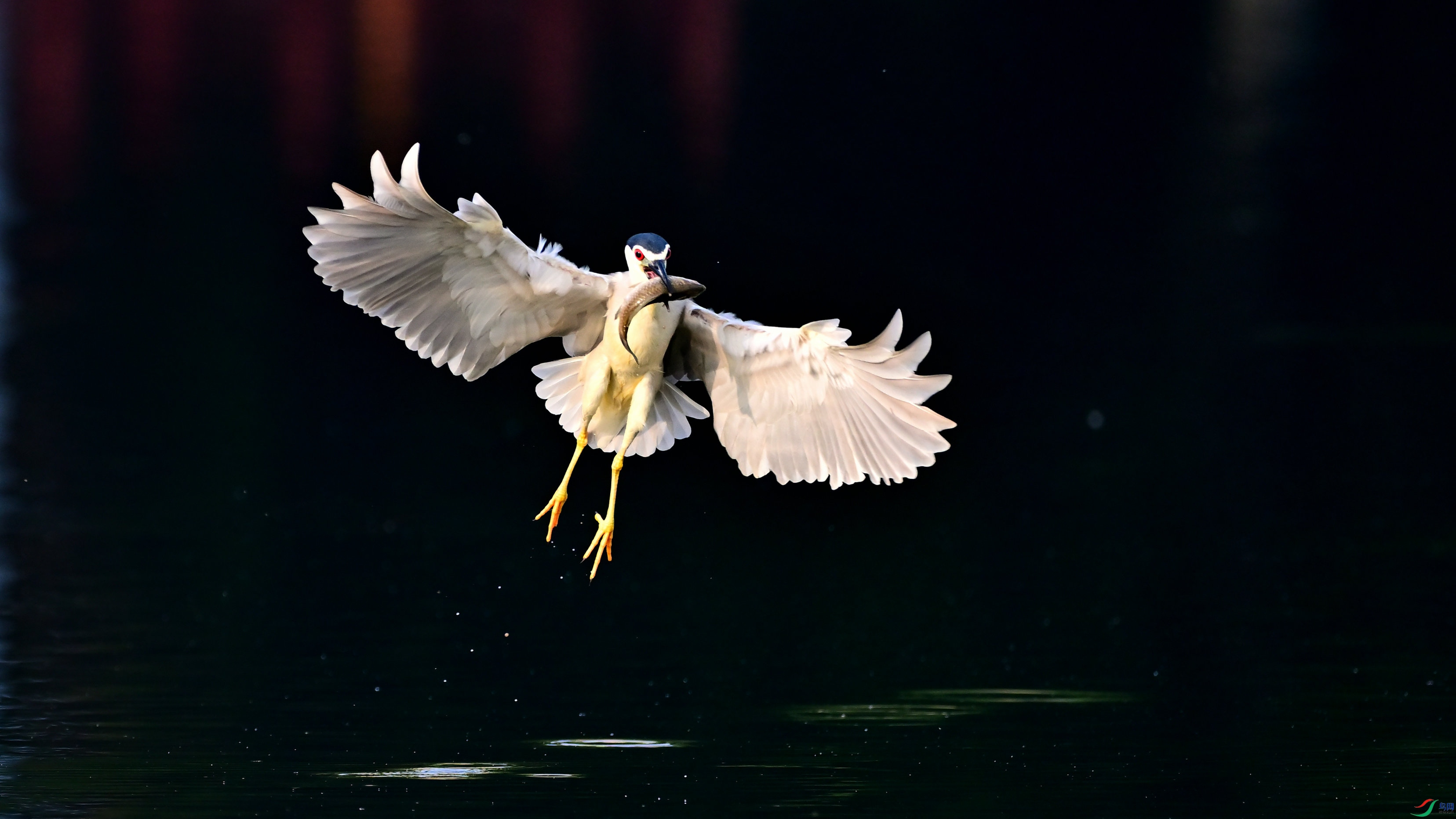DSC_3802_05.jpg