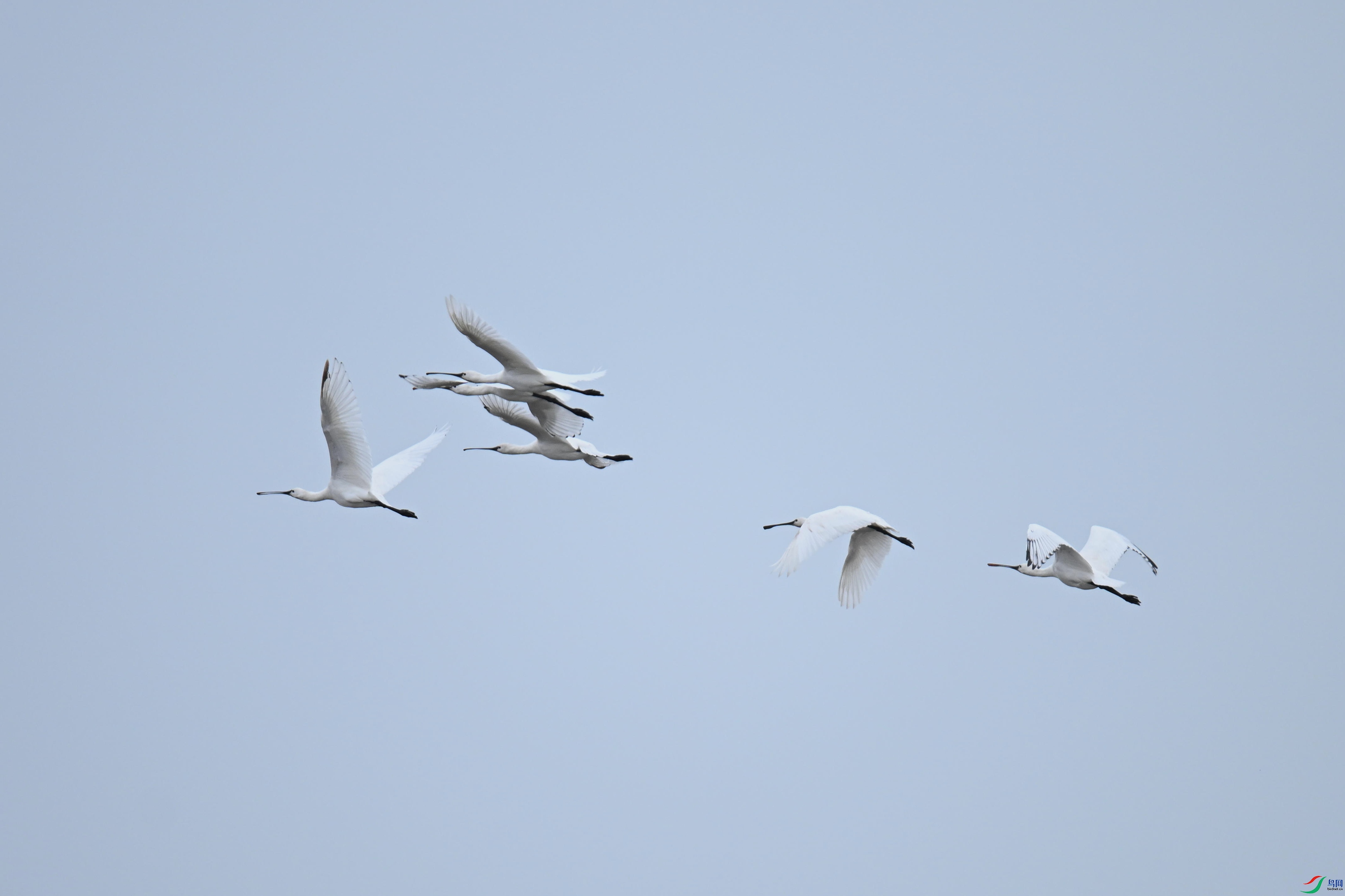 ������ (7).jpg