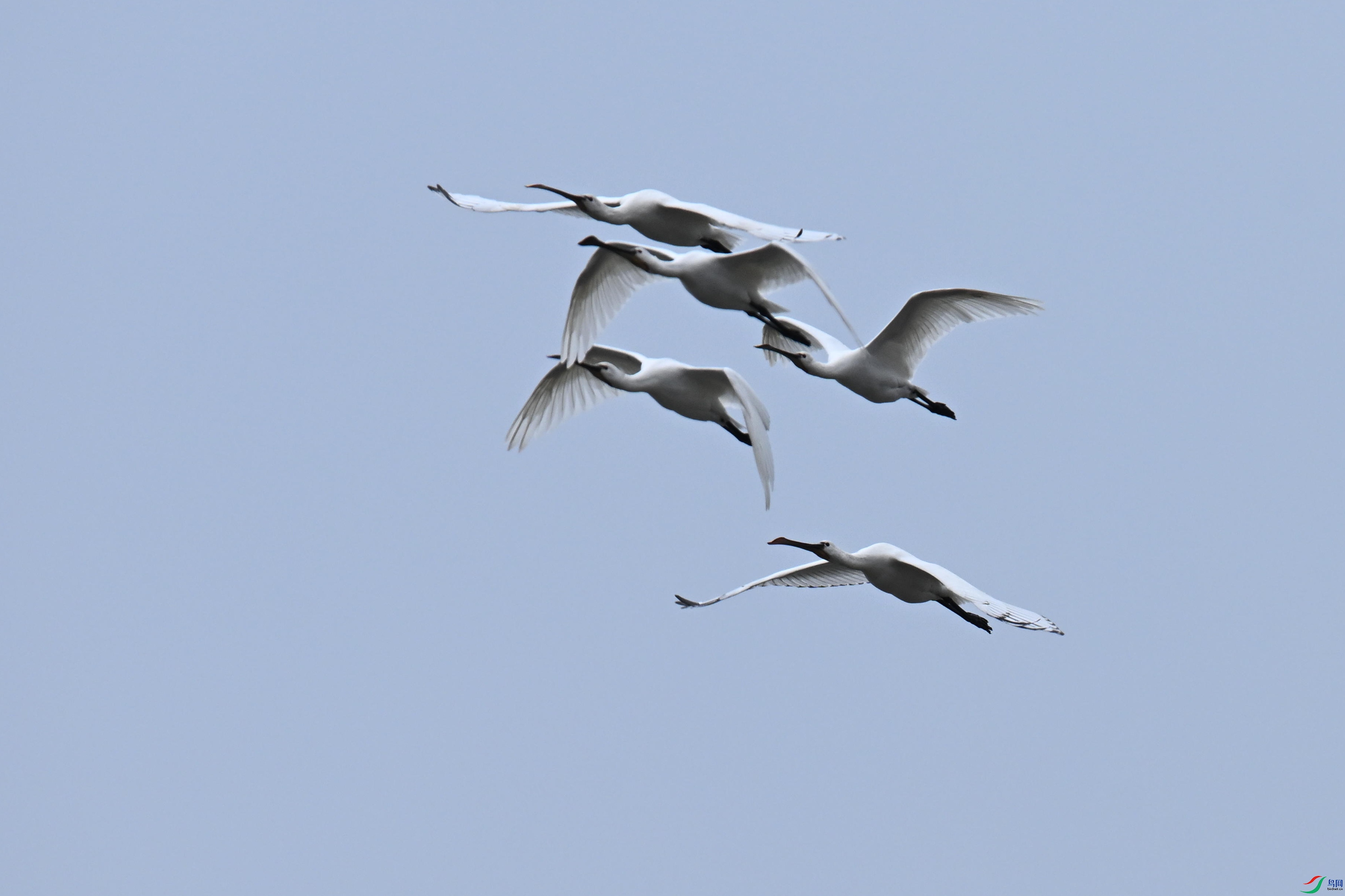 ������ (2).jpg