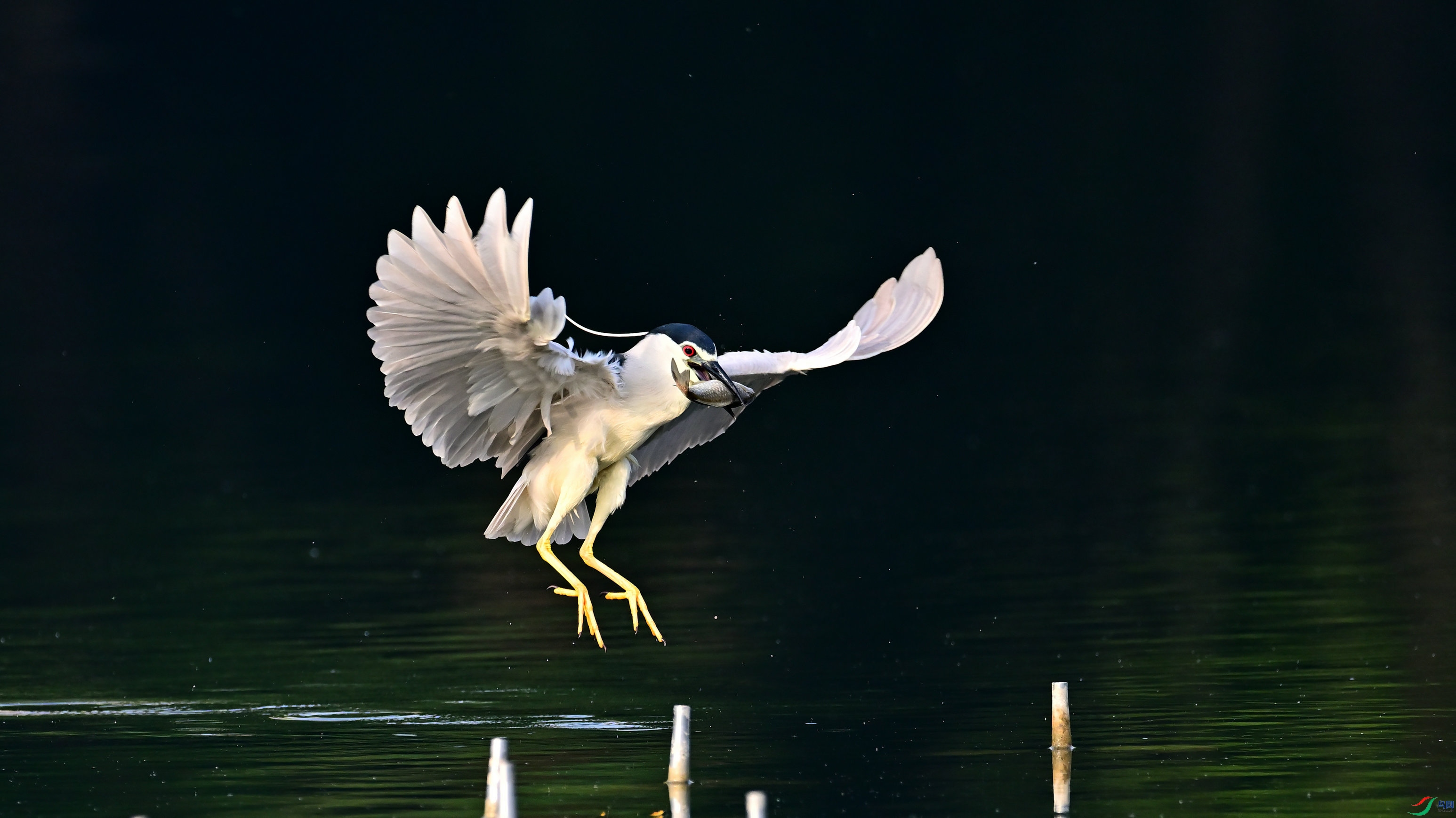 DSC_3817_03.jpg
