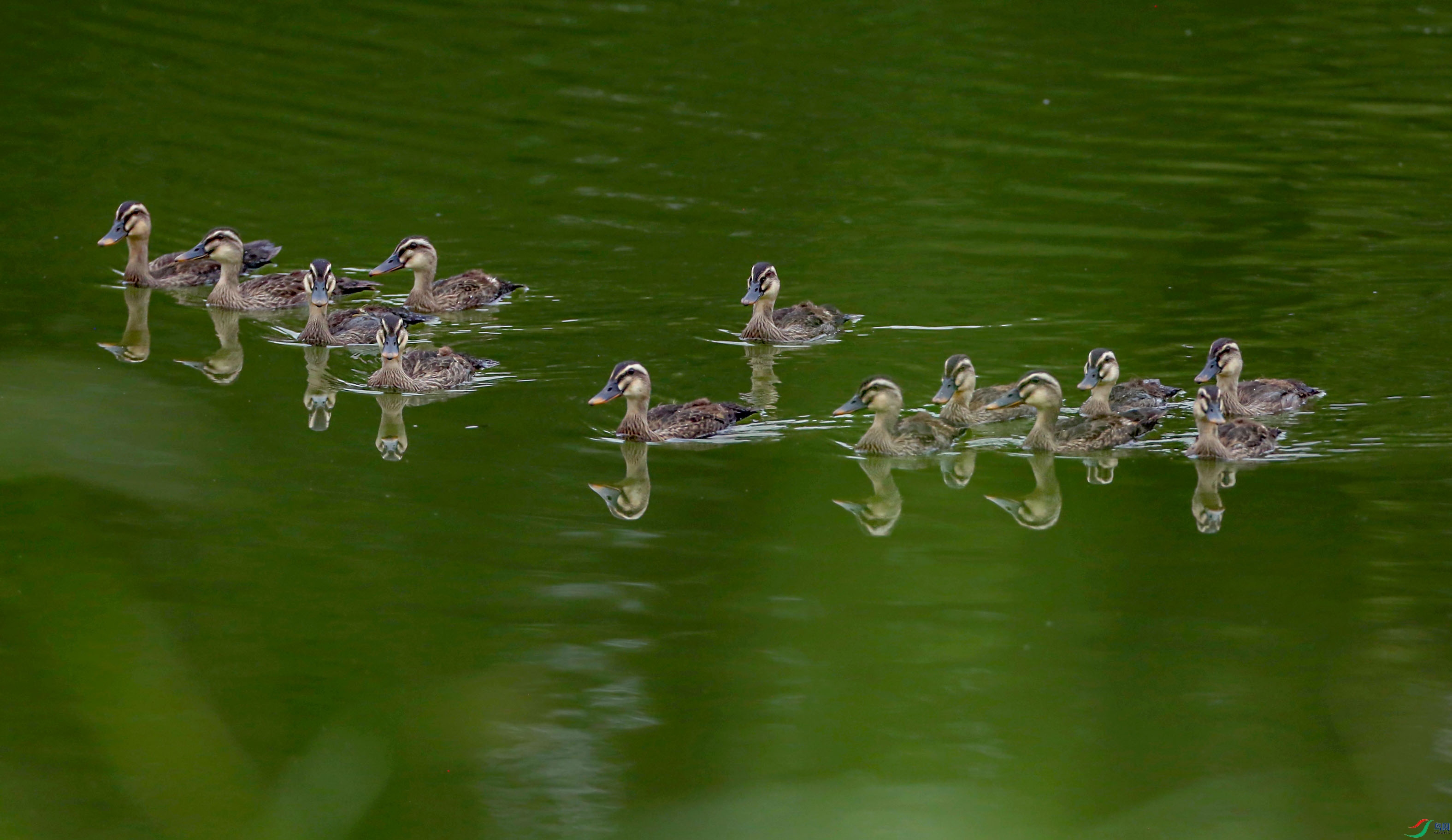 673A3984 ����.jpg