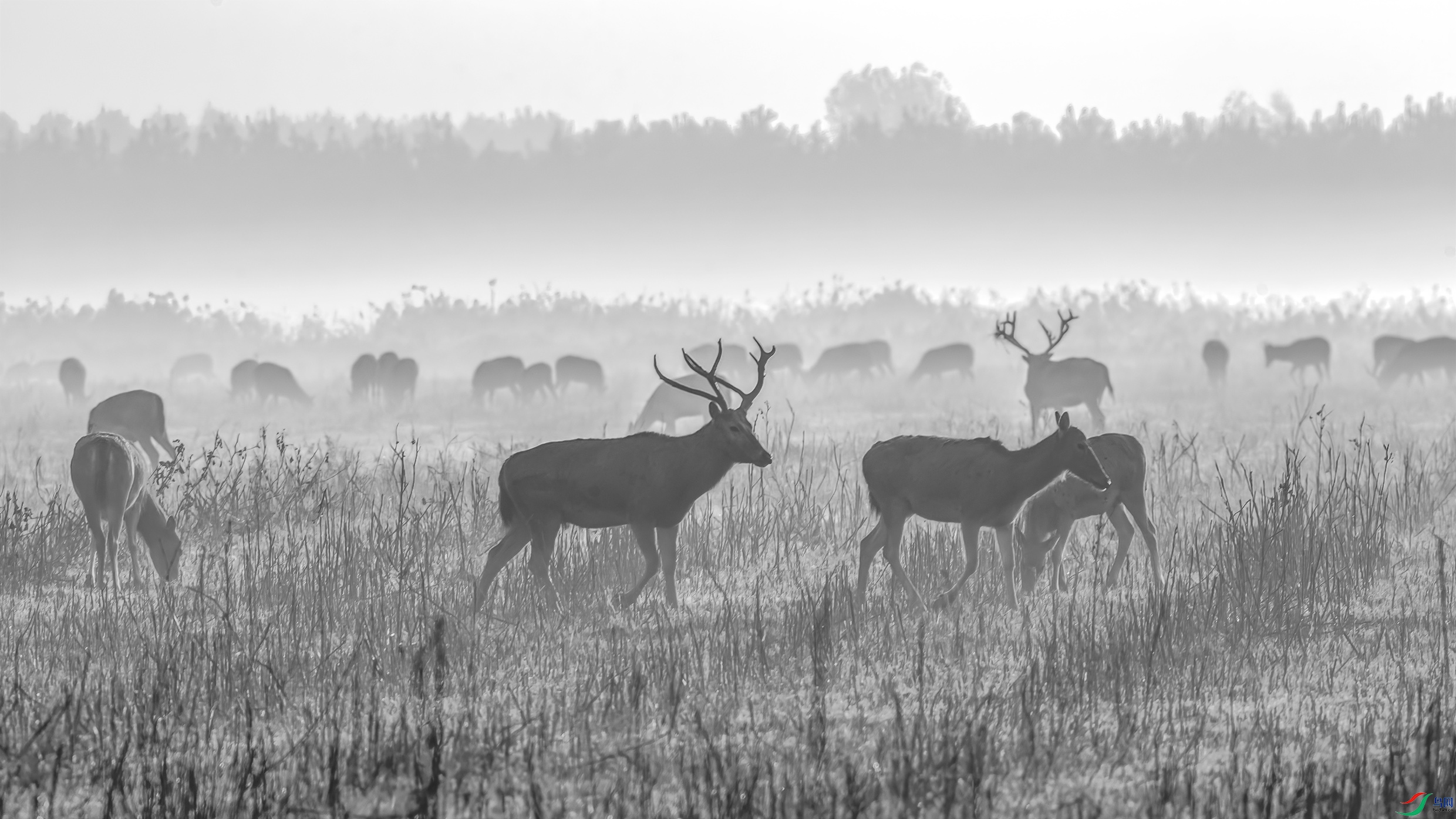 G81A0146 ����.jpg