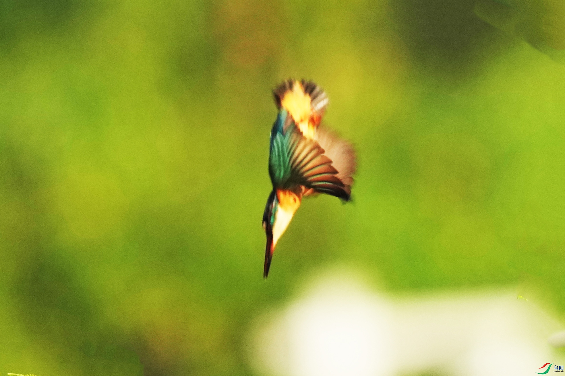 058DSC01285 ���� 2.jpg