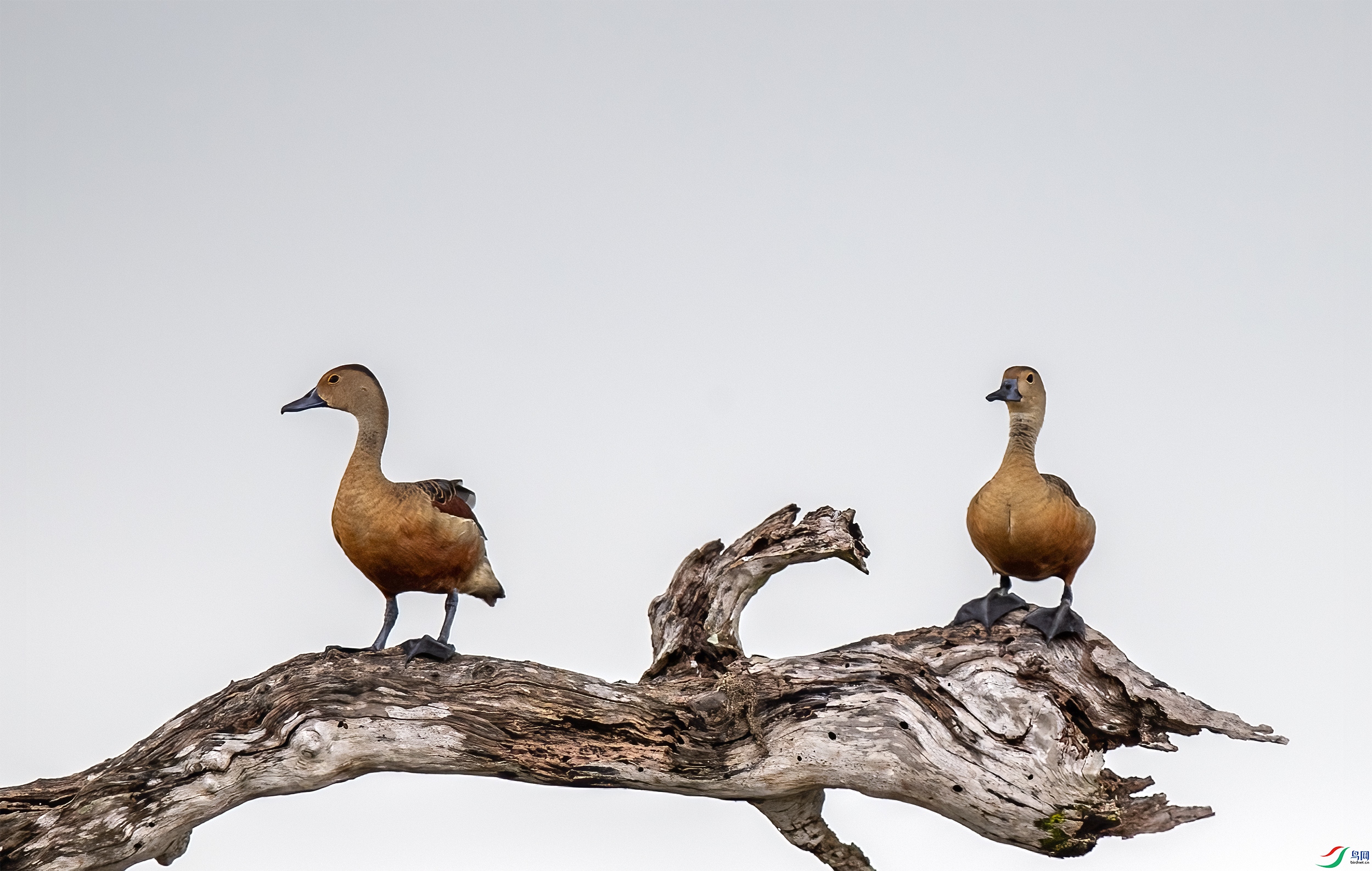 AC3I2508 ����.jpg