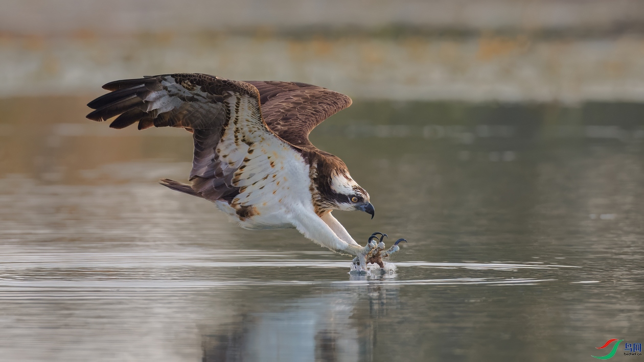 YTC-2025-10-02.jpg (7).jpg